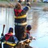 Brandweer redt meeuw|Foto Nicolaas Kerkmeijer/Fotobureau Kerkmeijer