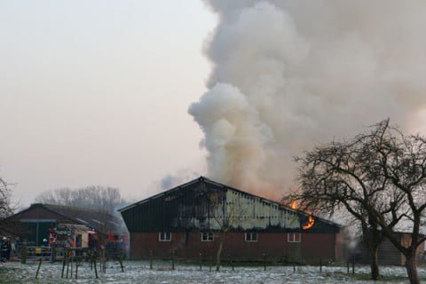 Foto Fotobureau Kerkmeijer