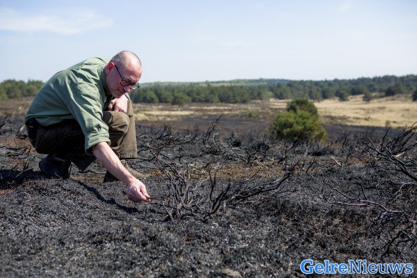 foto: Roland Heitink