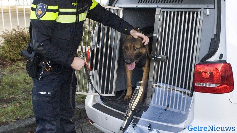 Politiehond raakt gewond bij aanhouding: Politie lost waarschuwingschot