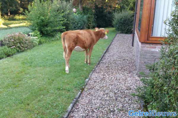 foto: Wijkagent Piet Enklaar