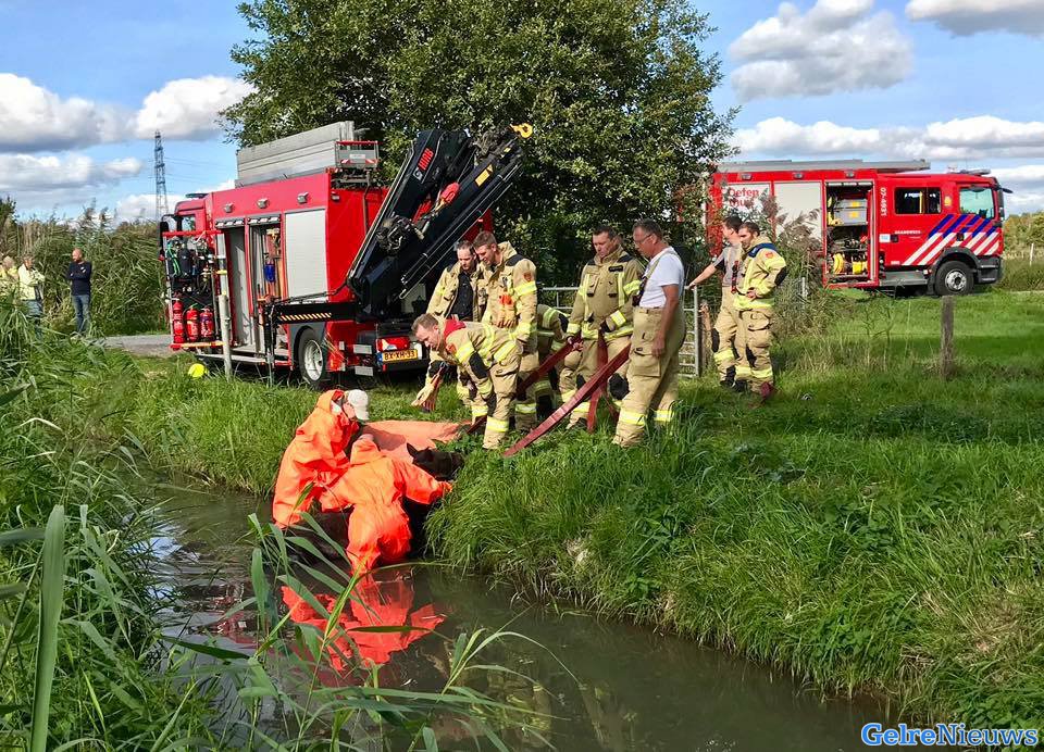 Brandweer bevrijdt paard uit sloot in Doornenburg