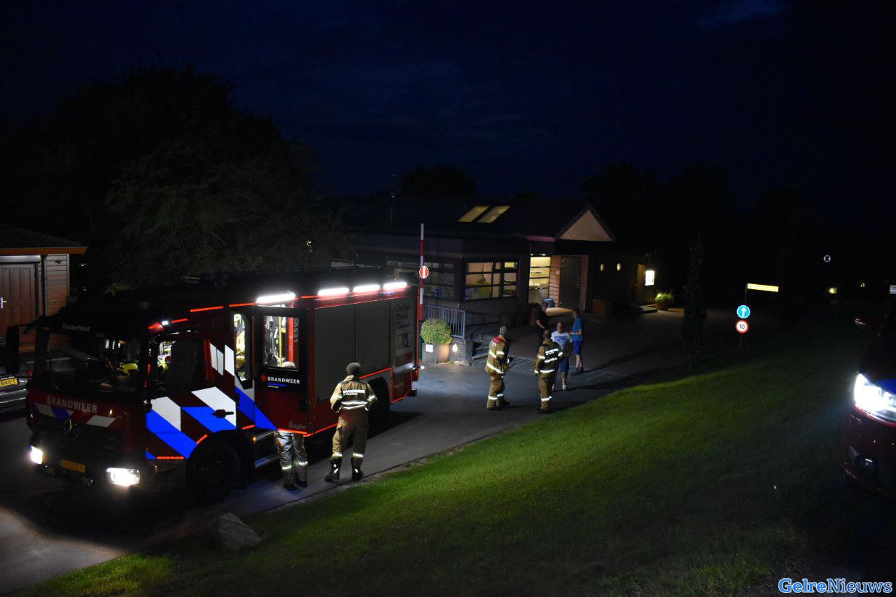 Man gaat papegaai achterna de waal in bij Oosterhout