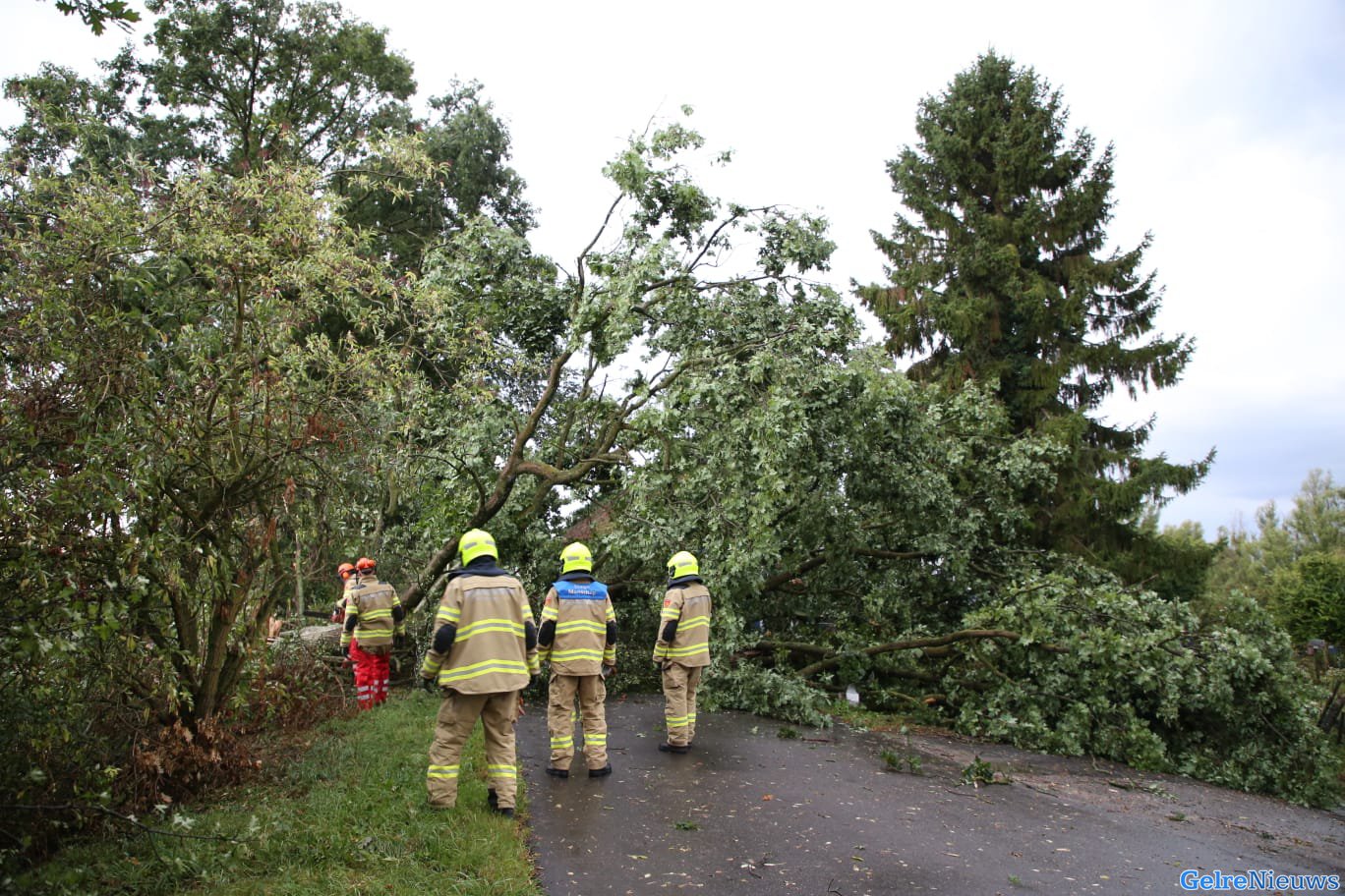 Grote boom valt over de weg in Haalderen