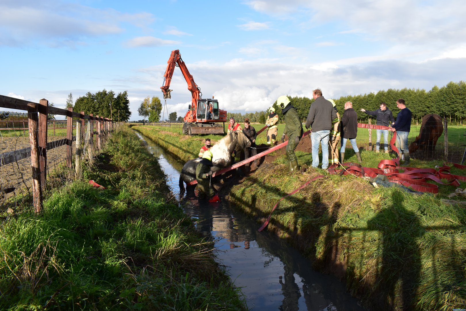 Blind paard uit koude sloot gered in Haalderen