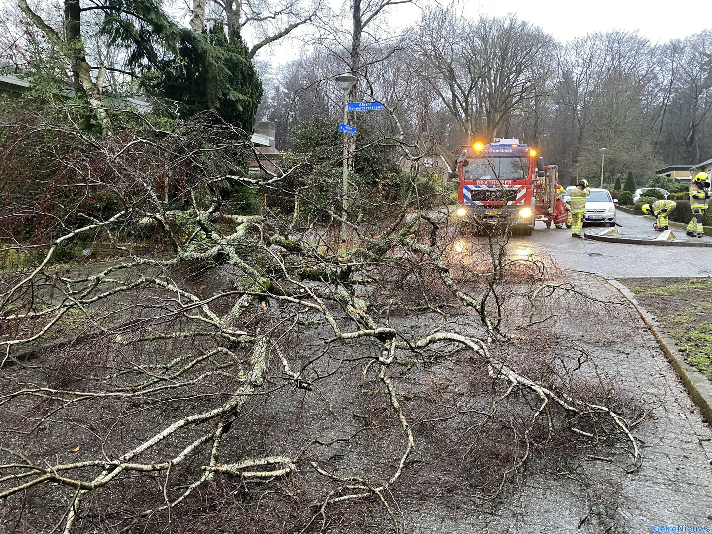 Boom verspert weg in Groesbeek