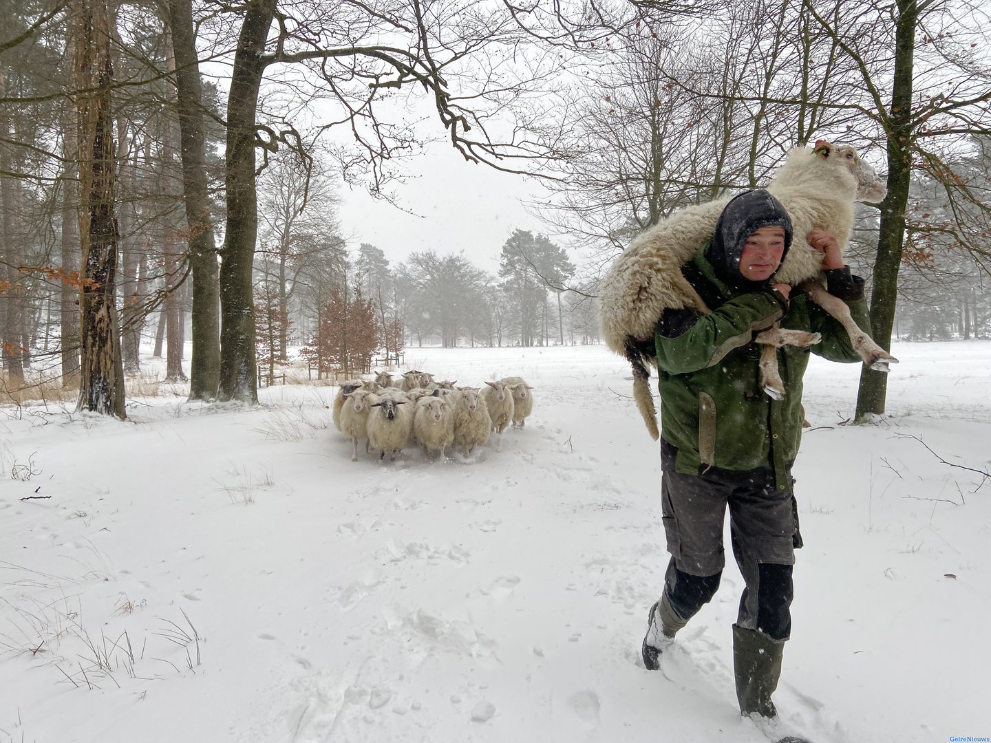 Flinke sneeuwbuien op komst, einde zomerse dagen