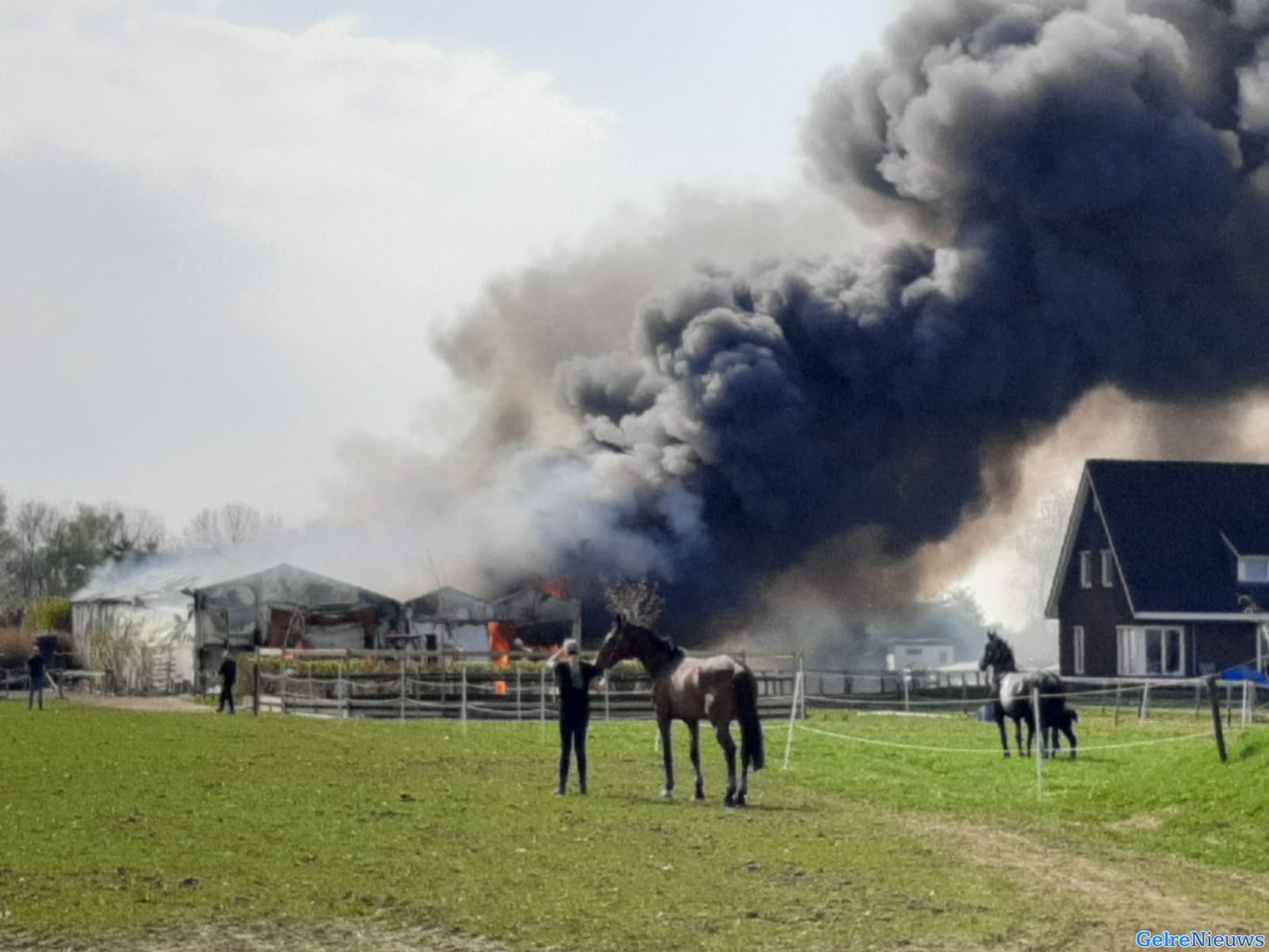 Grote brand in stal met paarden in Bemmel