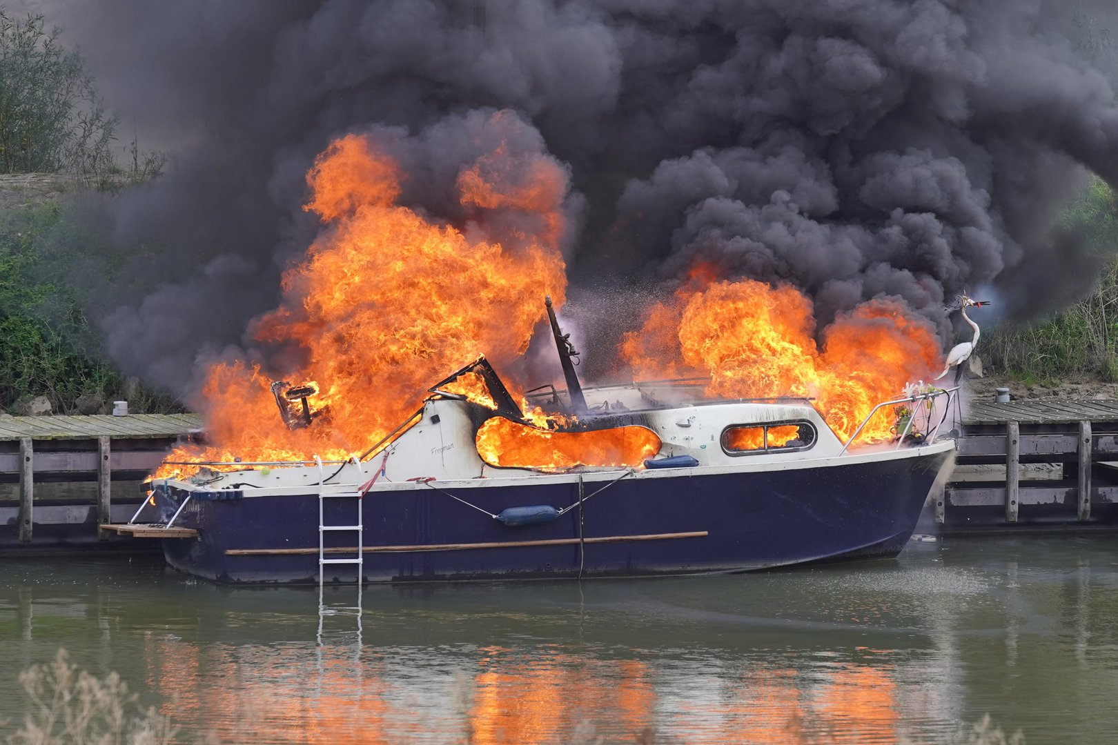 Plezierboot brandt uit in Nijmeegse haven, man en hond raken gewond