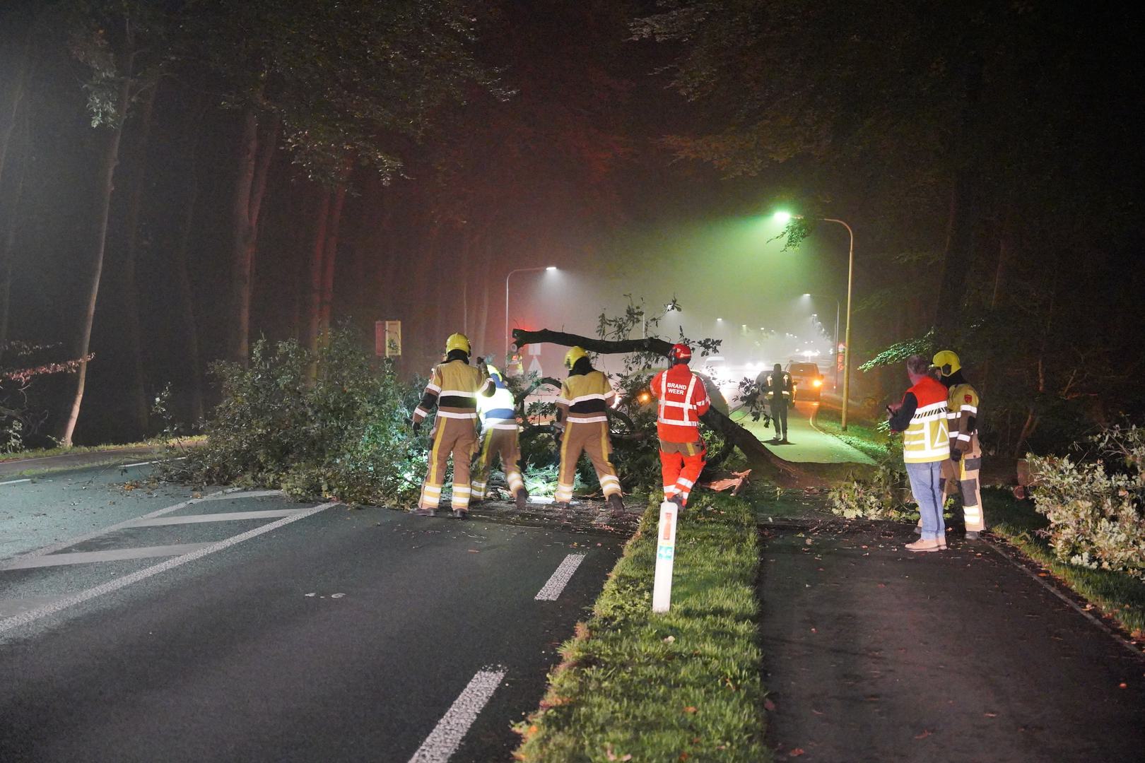 Boom valt om op auto op N842 bij Groesbeek