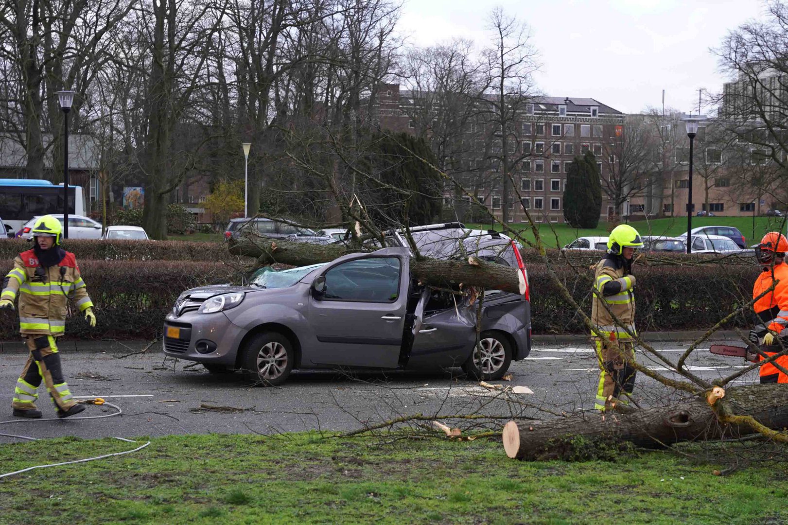 Vrouw bekneld in auto door gevallen boom