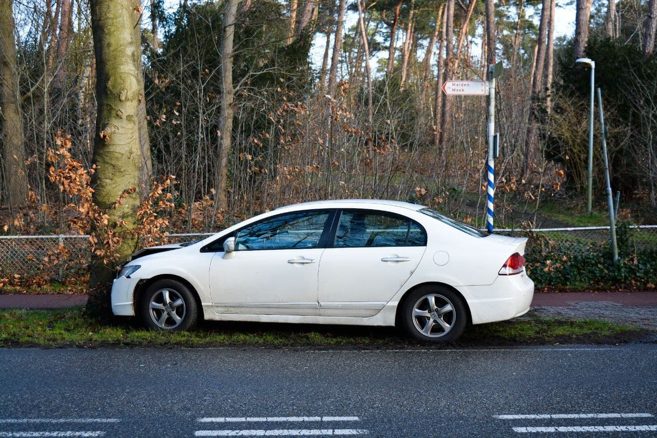 Auto botst tegen boom na uitwijken voor overstekende kat