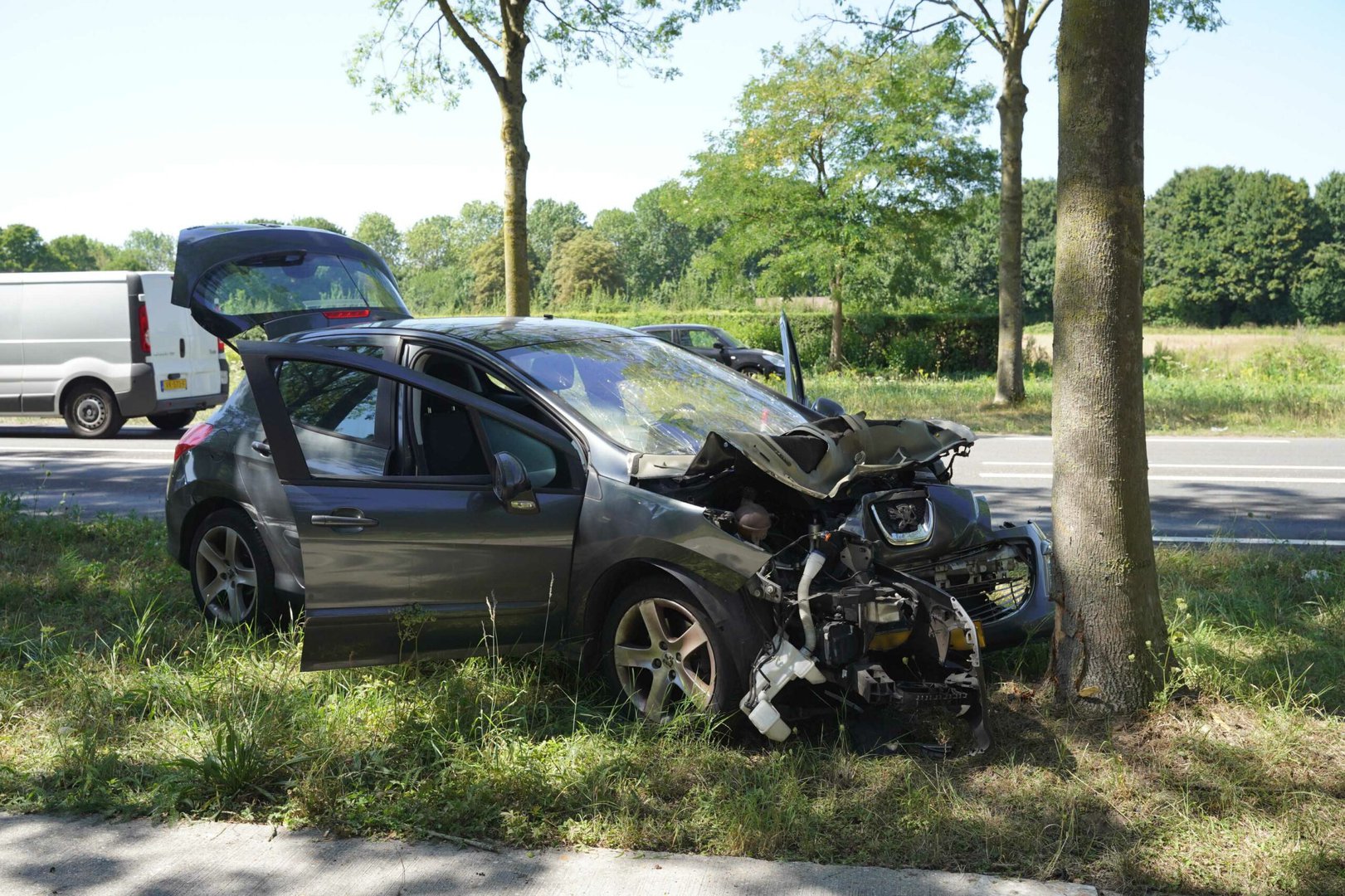 Automobilist vermoedelijk onwel geworden, botst tegen een boom