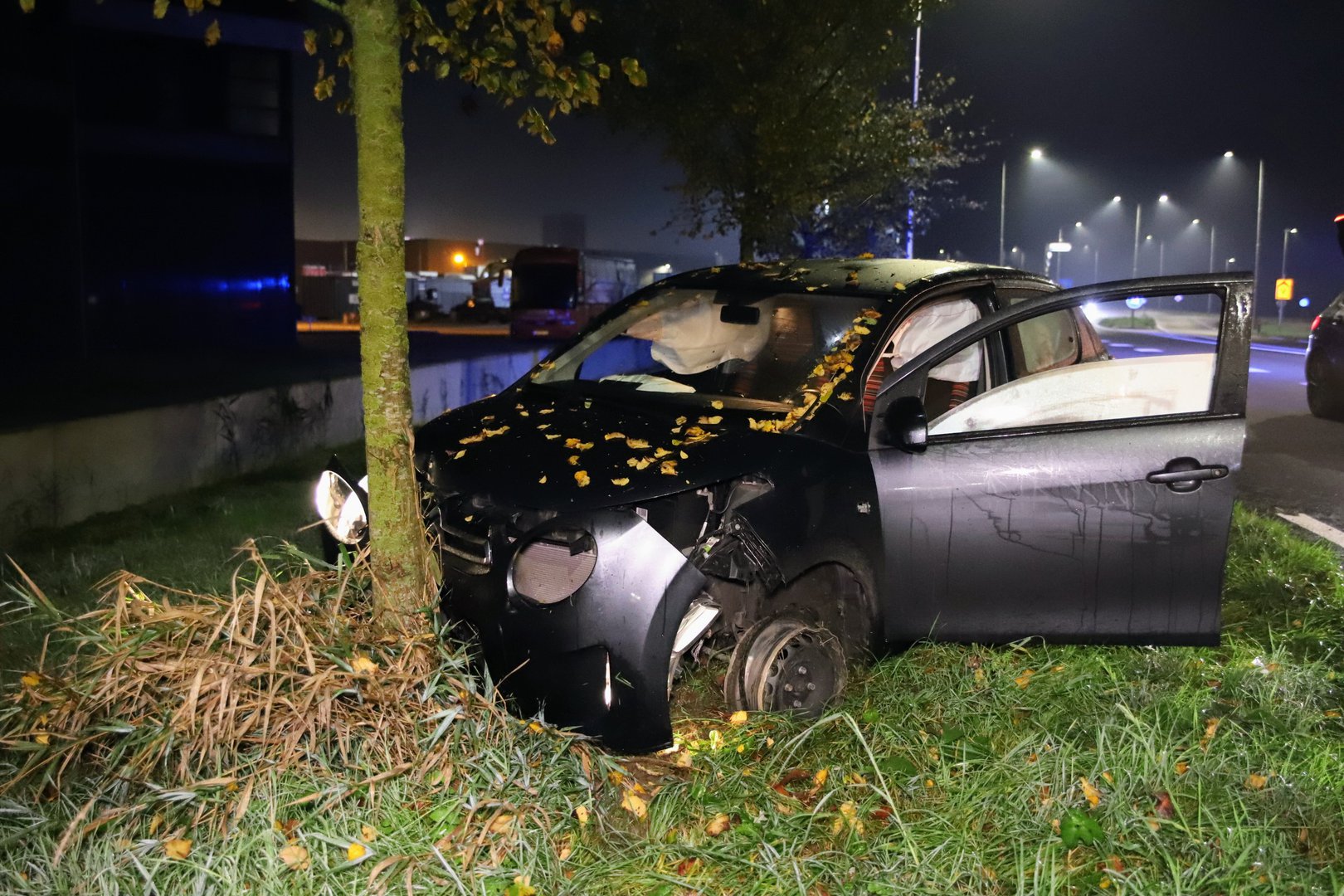 Vrouw onder invloed botst tegen boom