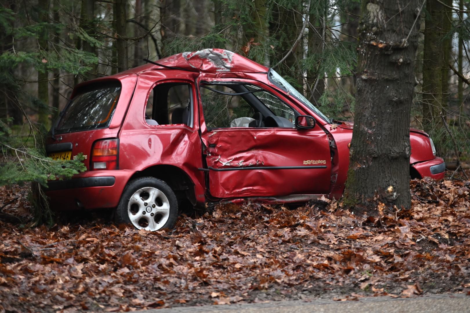 Automobilist raakt van de weg en botst tegen boom