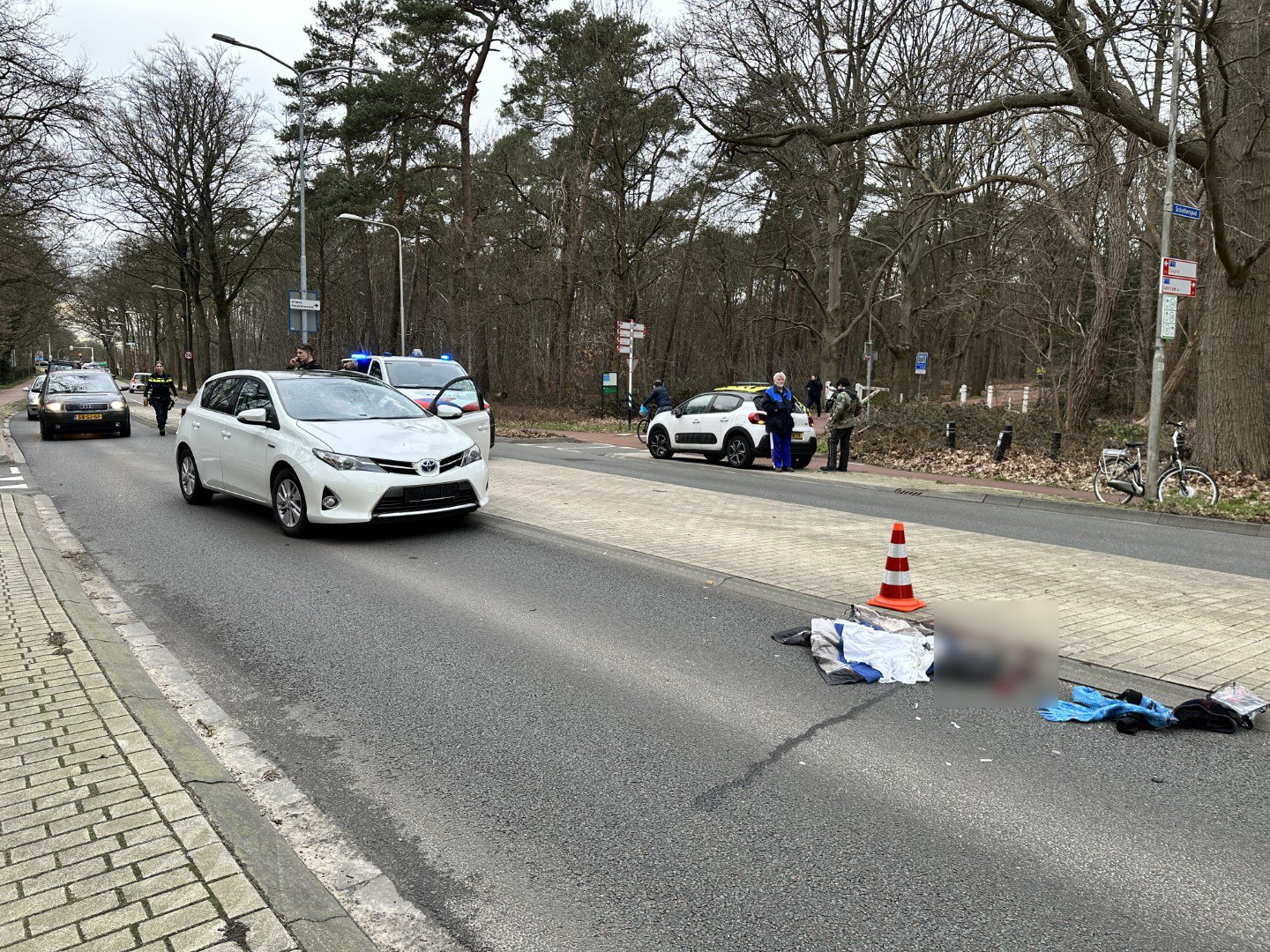 Vrouw (84) overleden na ongeluk met e-bike