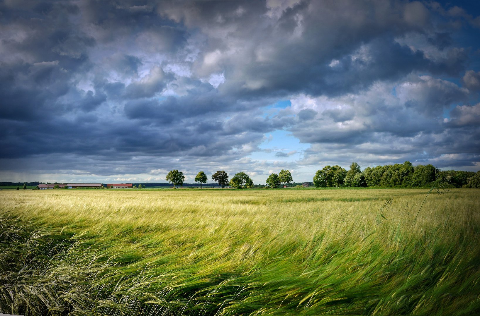 Code geel in bijna heel het land om zware windstoten