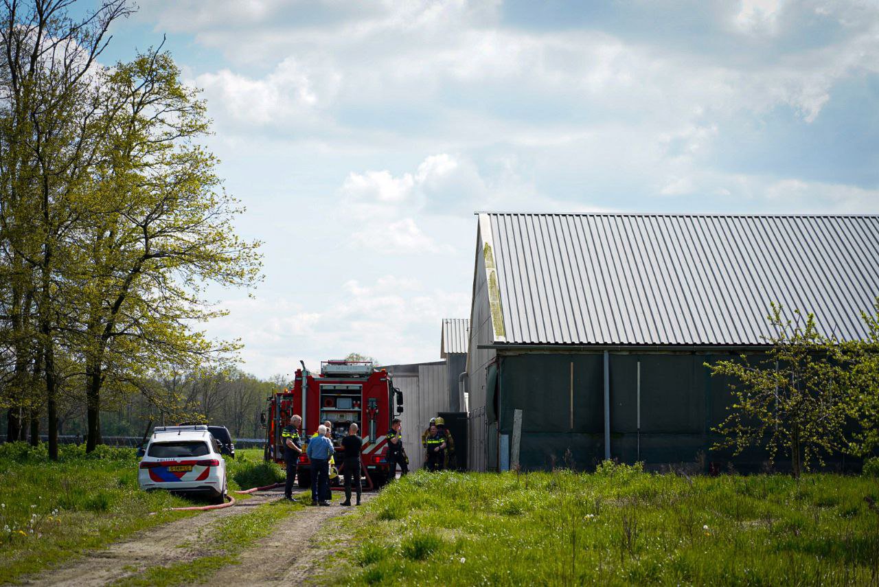 Kortsluiting in ventilator veroorzaakt brand in schuur met 30.000 kippen