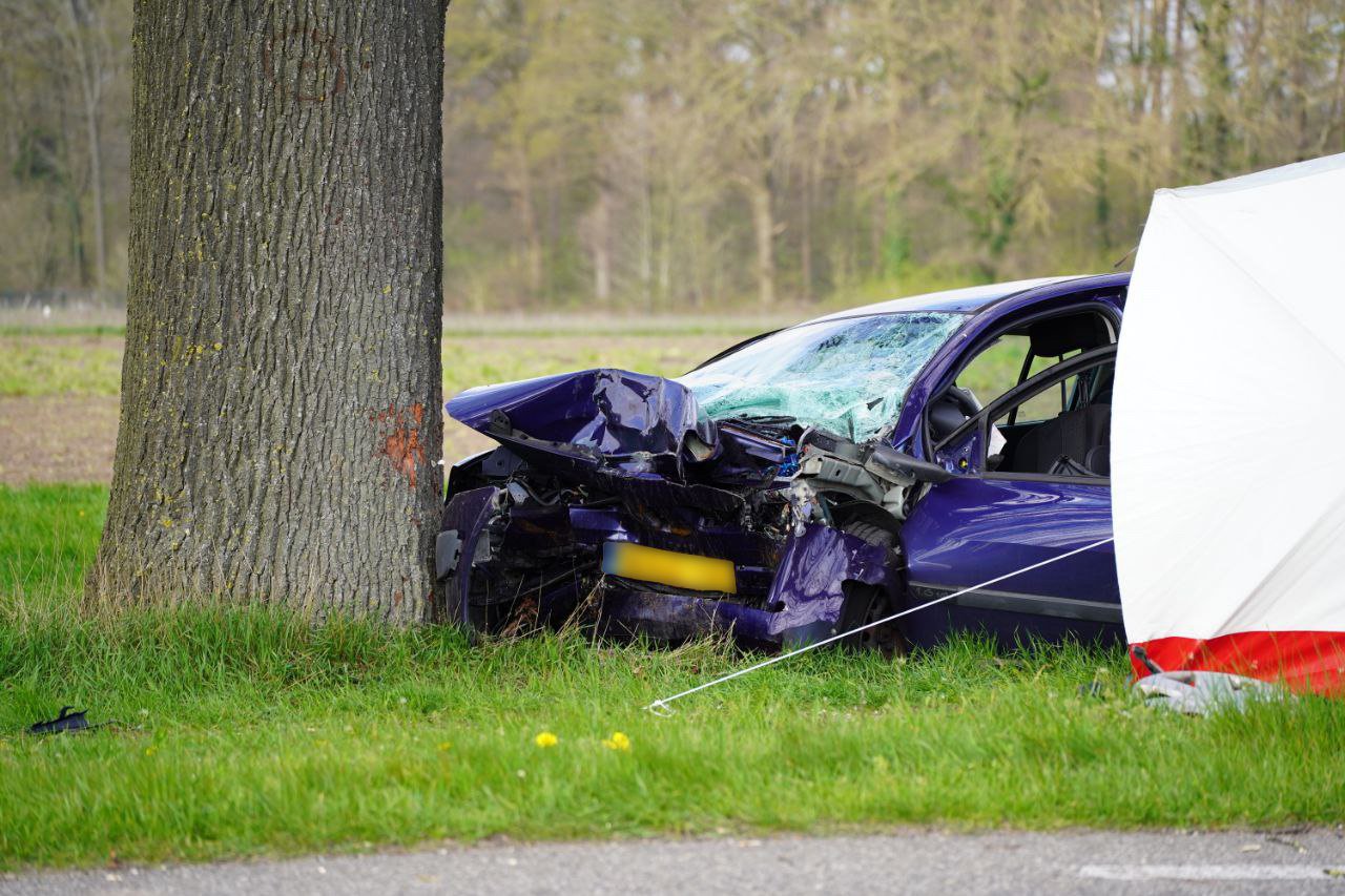 Automobilist overlijdt bij frontale aanrijding tegen boom