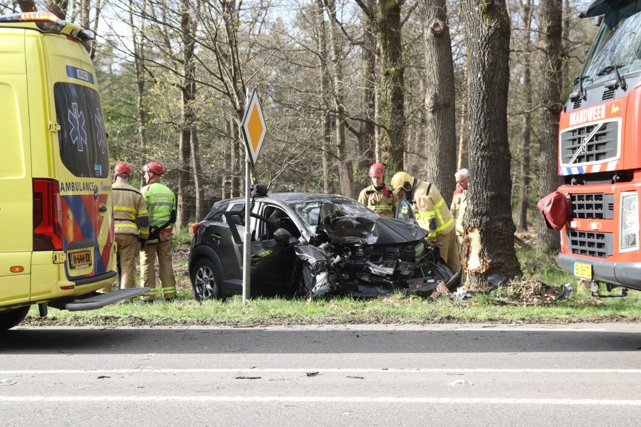 Man en vrouw raken gewond bij frontale botsing tegen boom