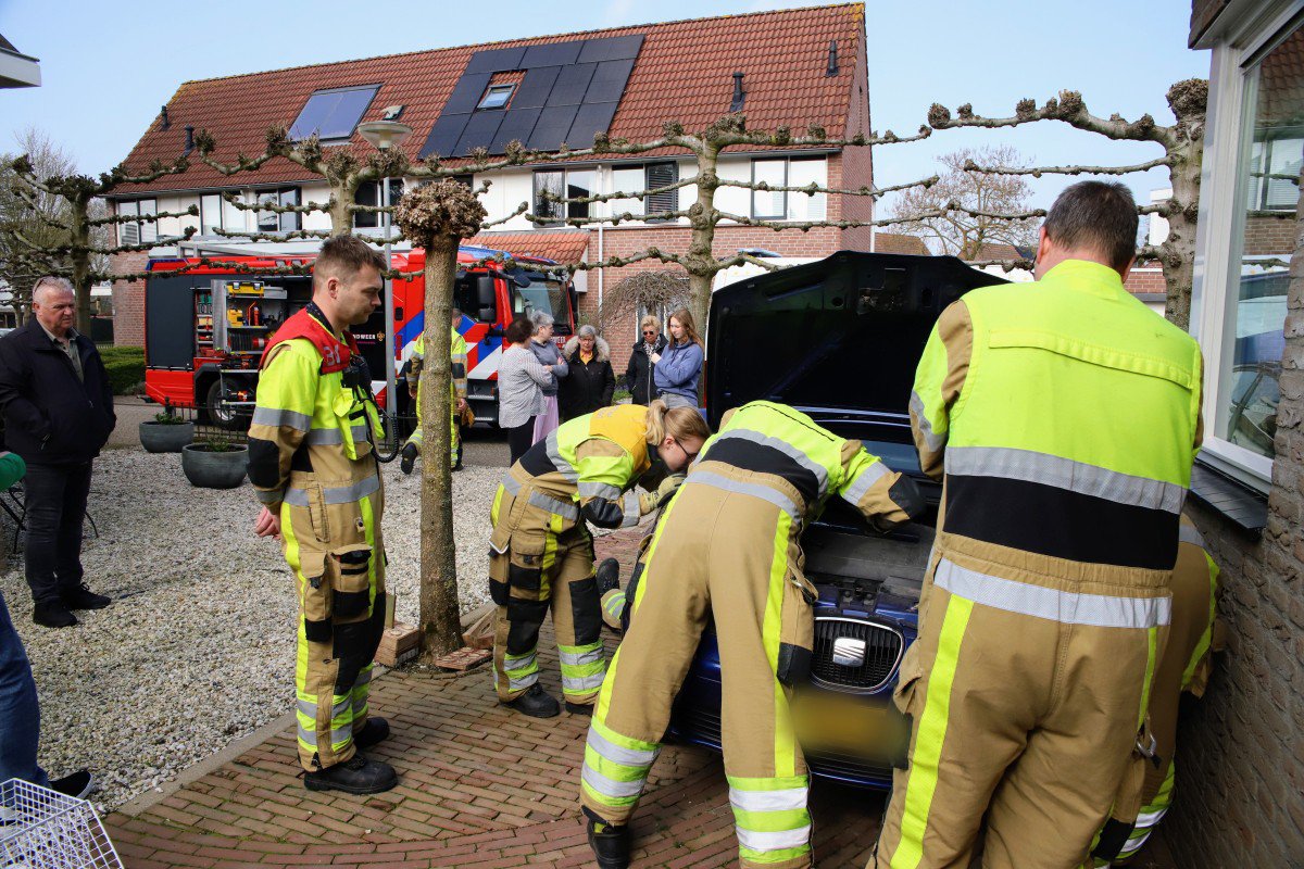 VIDEO: Kat zit vast onder de motorkap van een auto