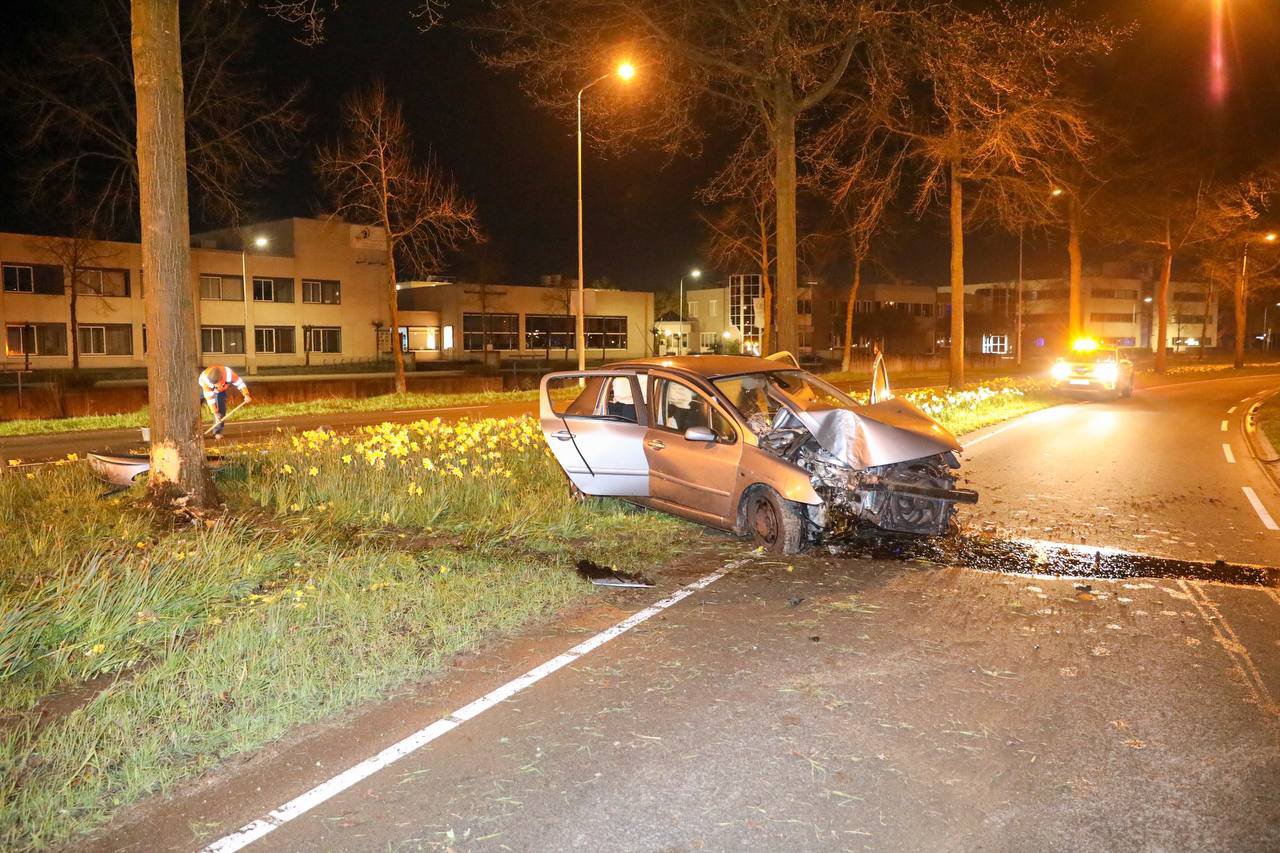 Auto botst tegen boom, vier gewonden