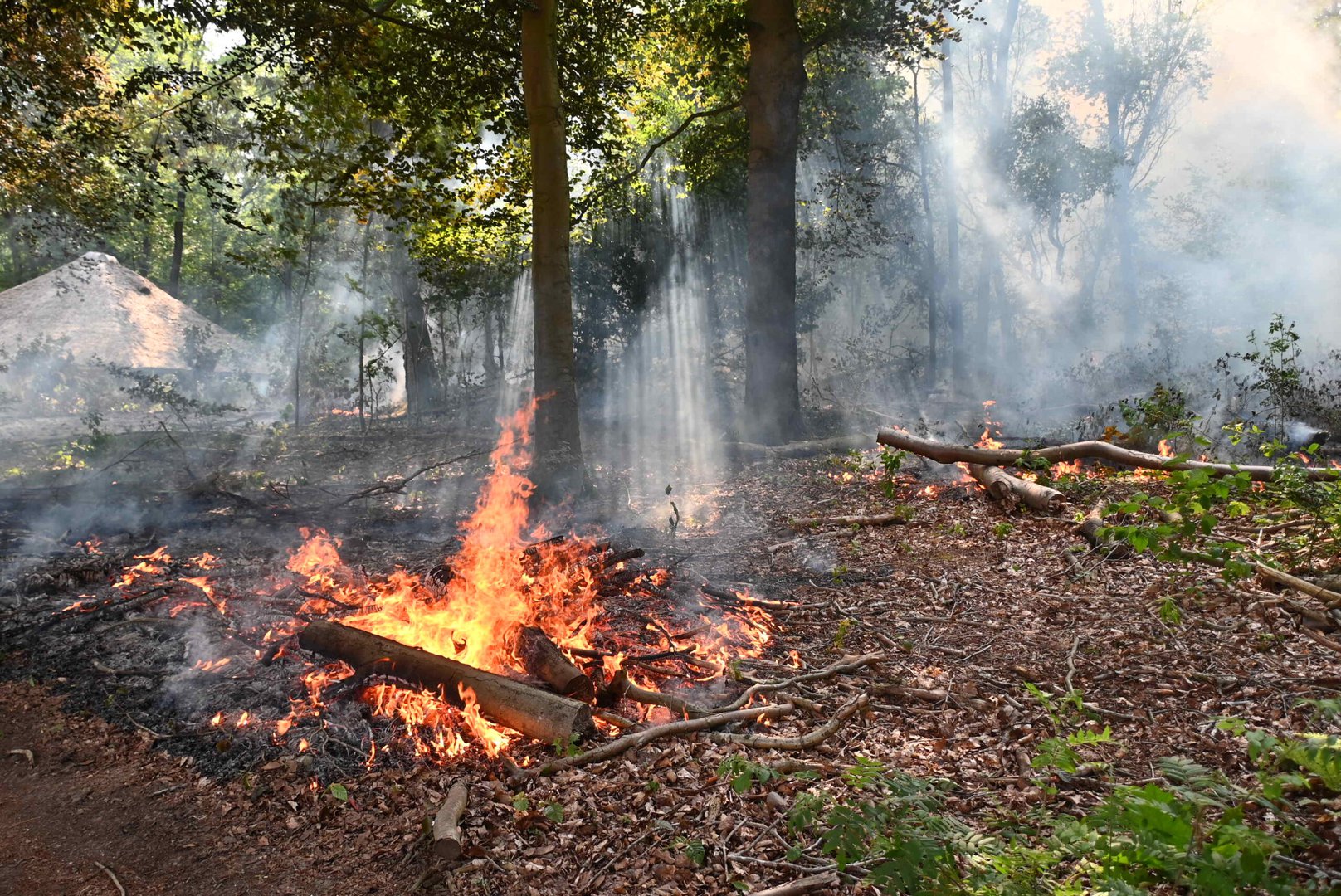 Brand verwoest 500 vierkante meter bos