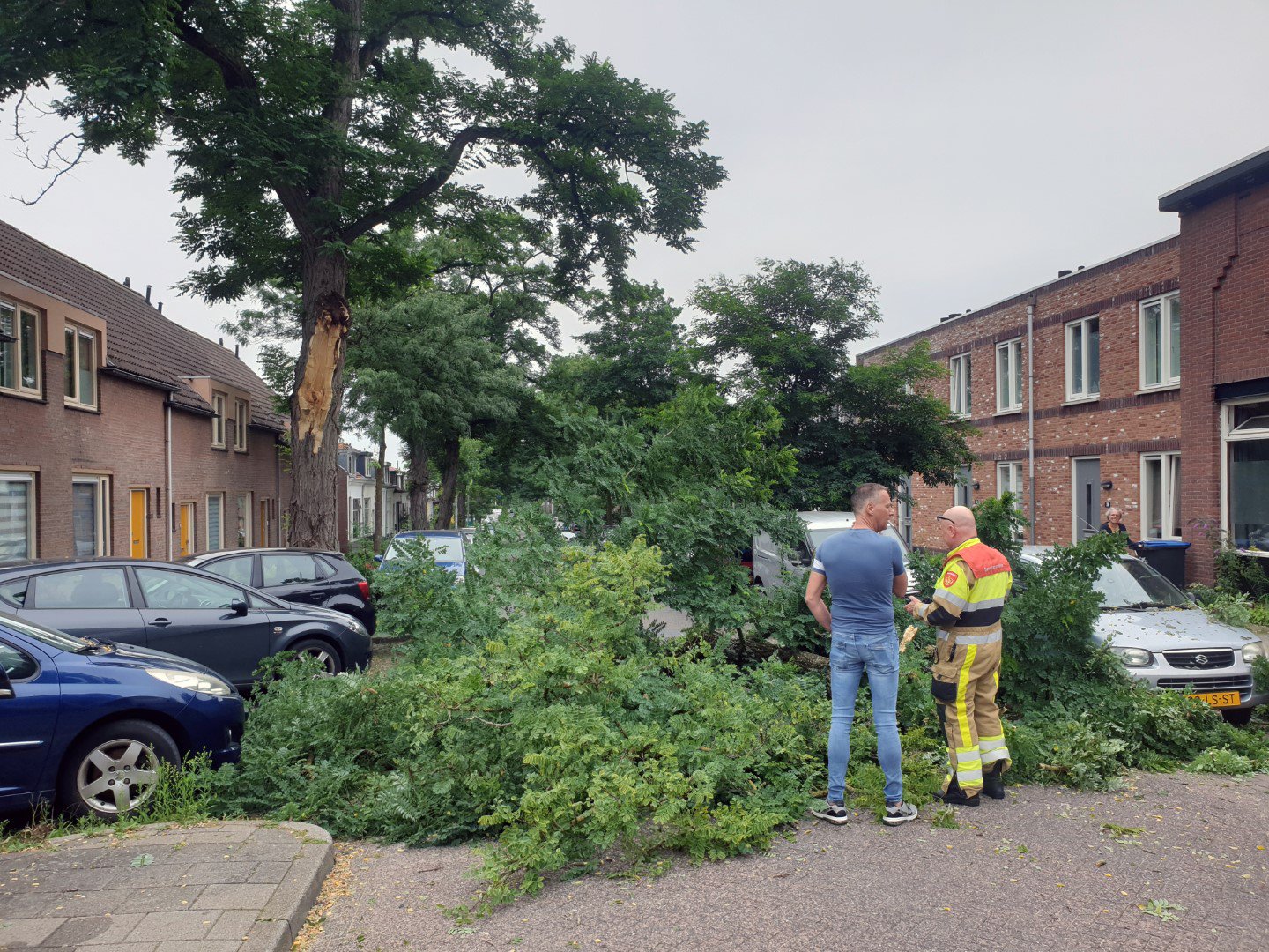 Grote tak valt van boom en beschadigt geparkeerde auto in Nijmegen