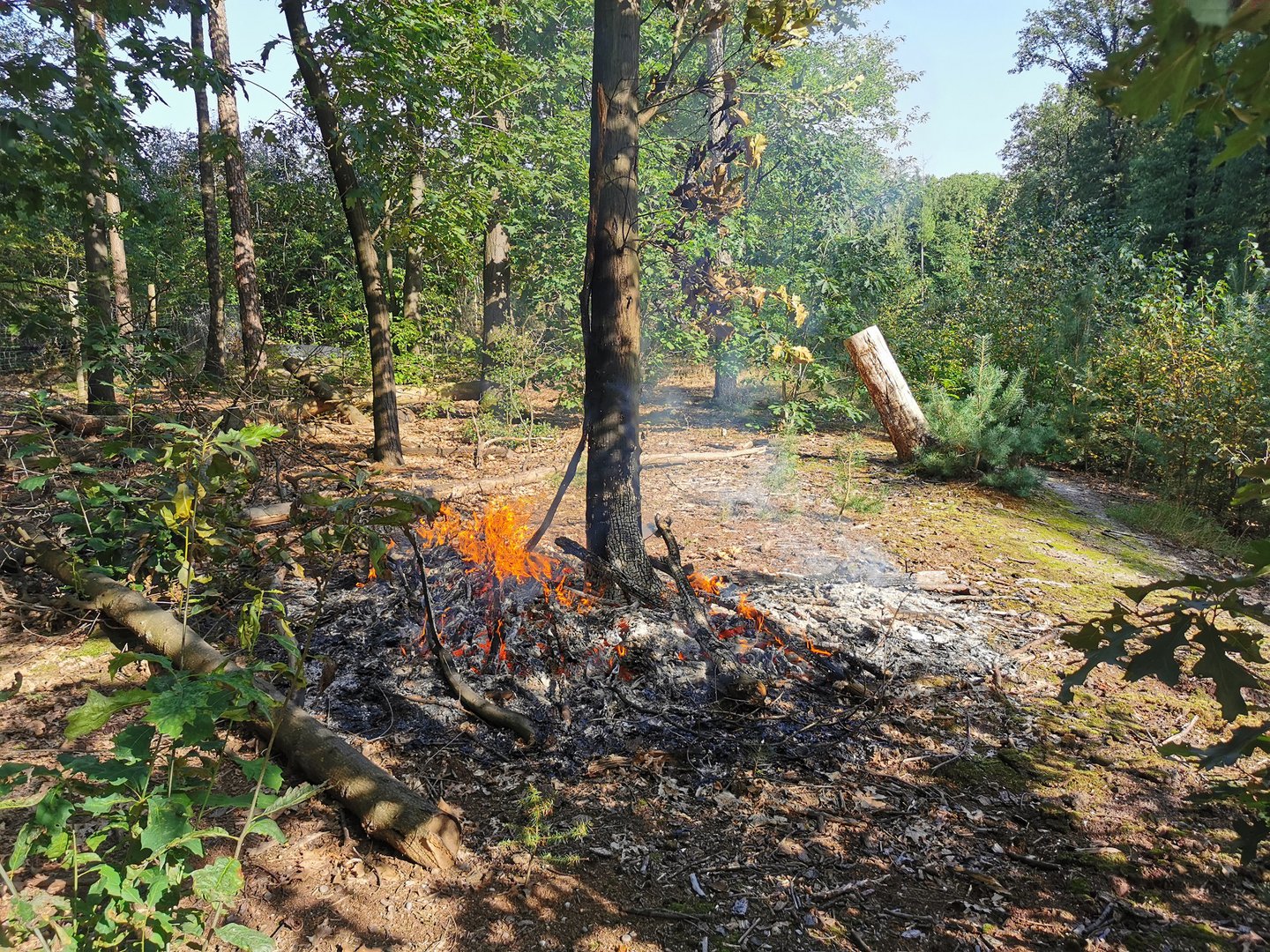 Wandelaars ontdekken bosbrand