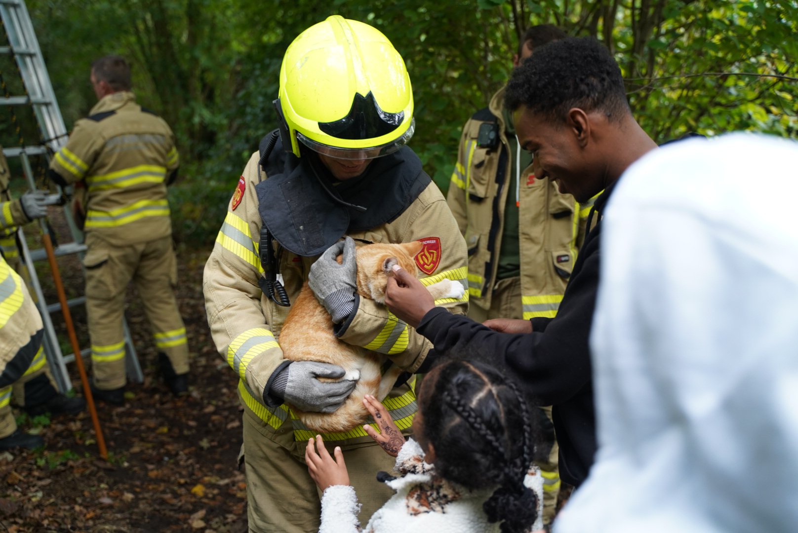 Brandweer redt kat uit boom