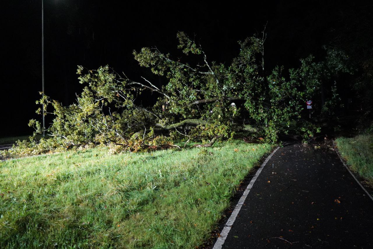 Omgewaaide boom blokkeert weg en fietspad