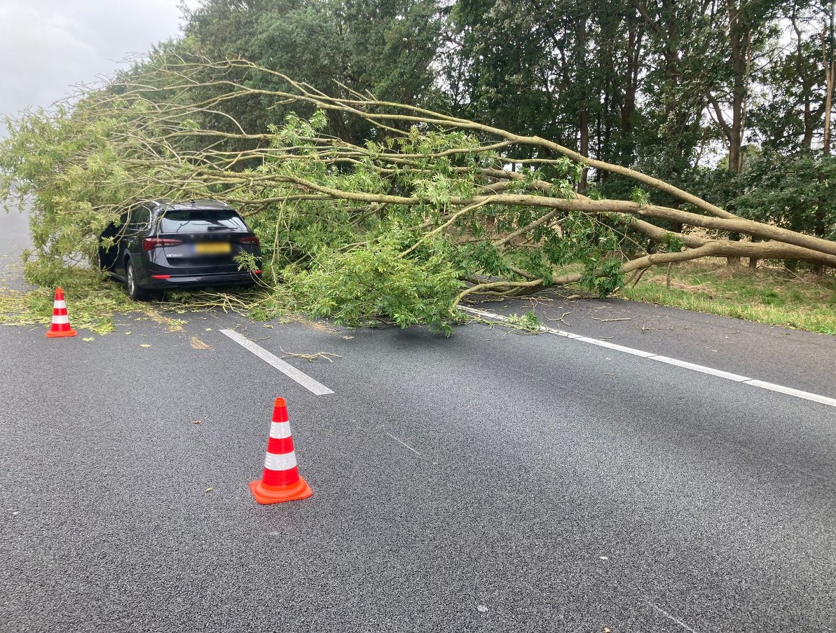 Files door omgewaaide boom op A50