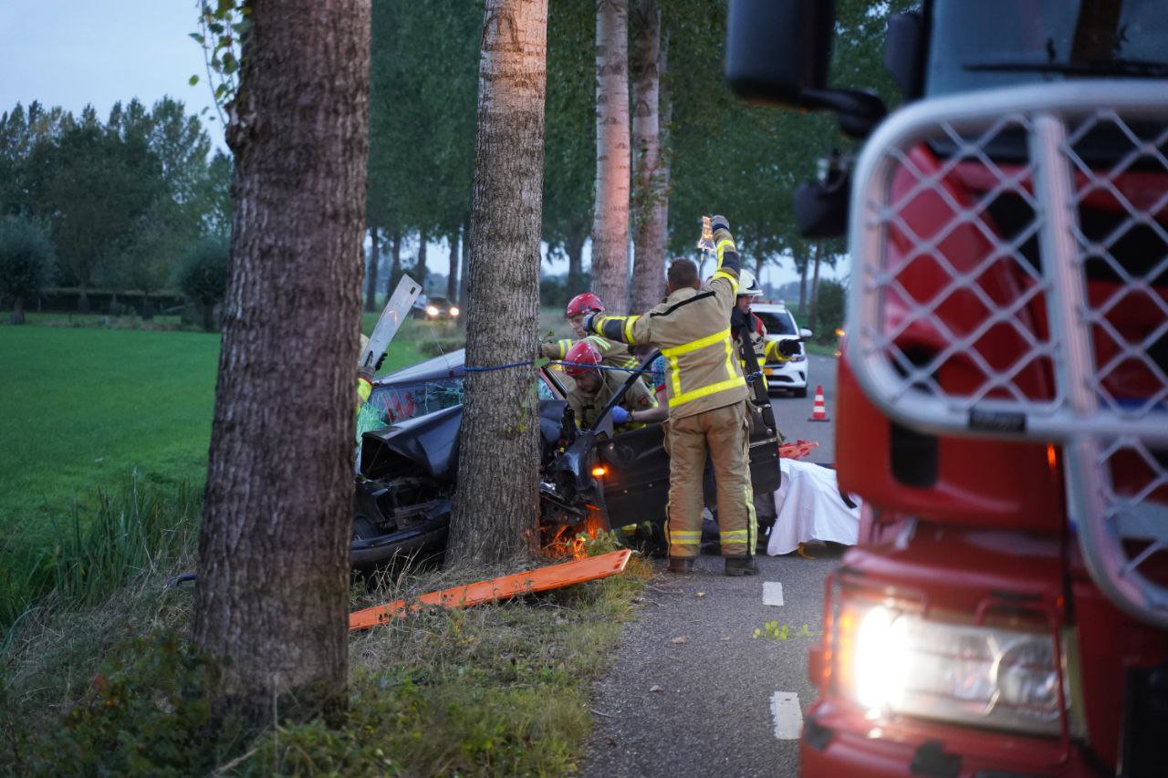 Auto knalt tegen boom bij ernstig verkeersongeval