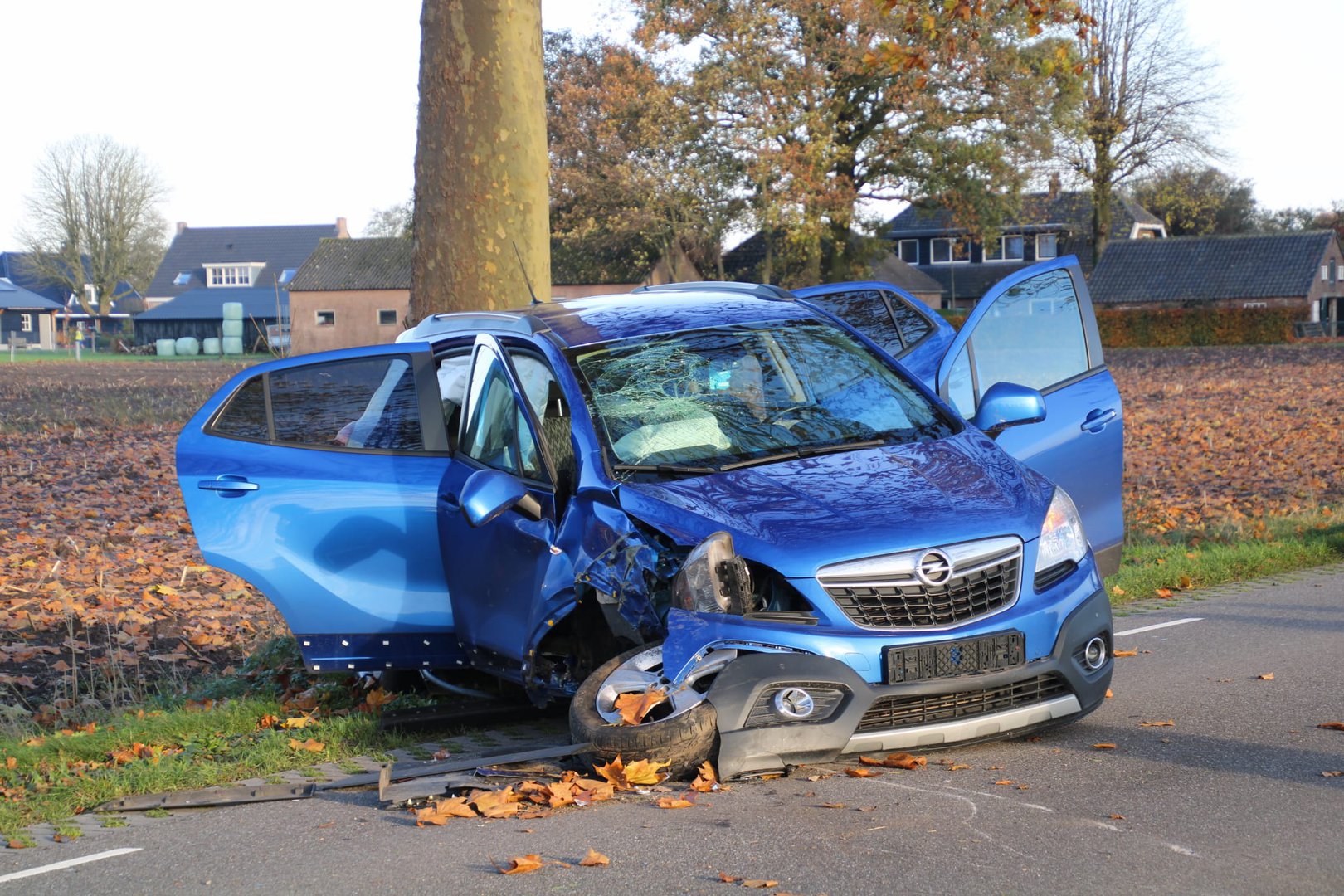 Auto botst tegen boom, drie inzittenden gewond