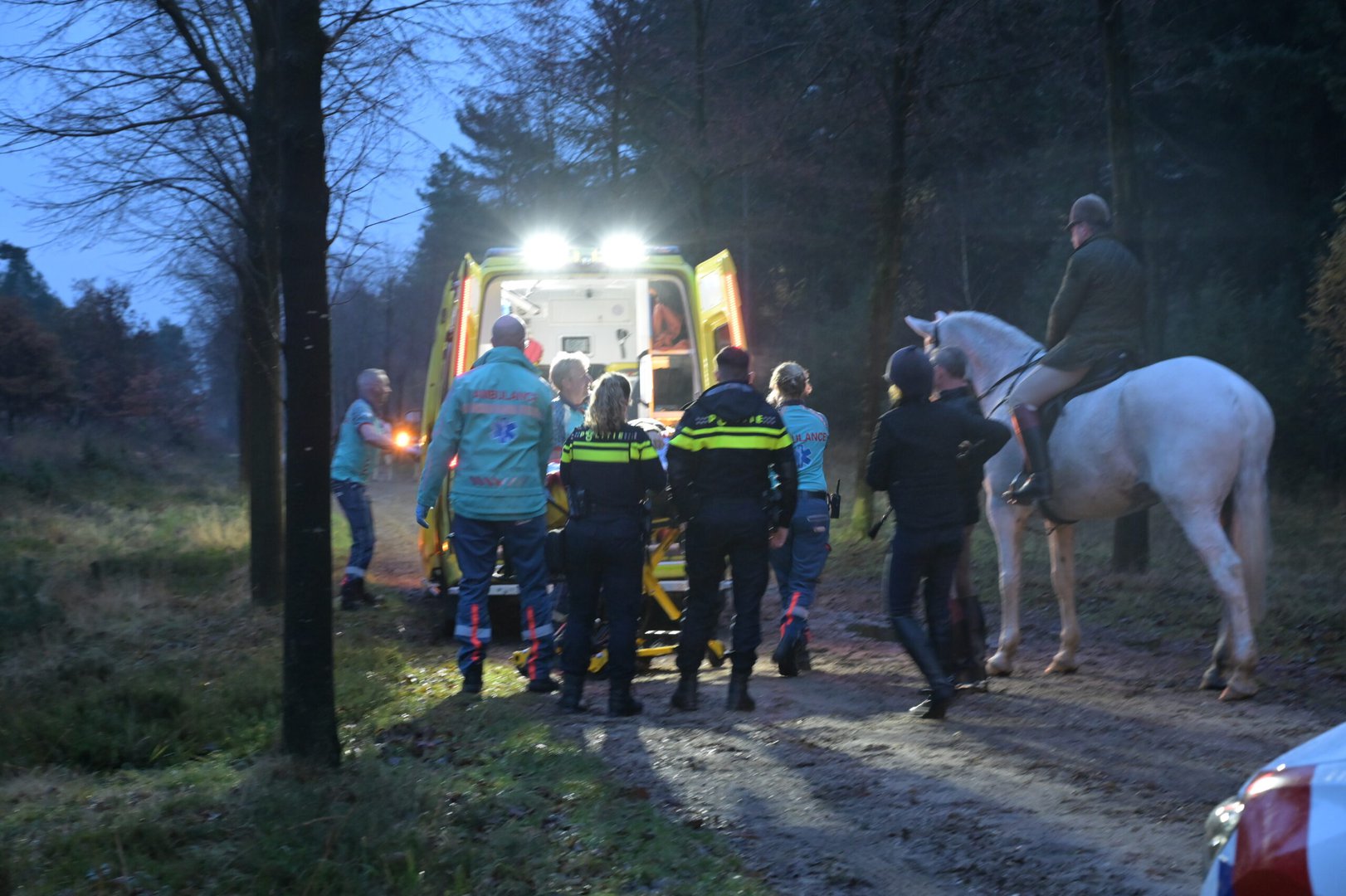 Man gewond na val van paard in bos