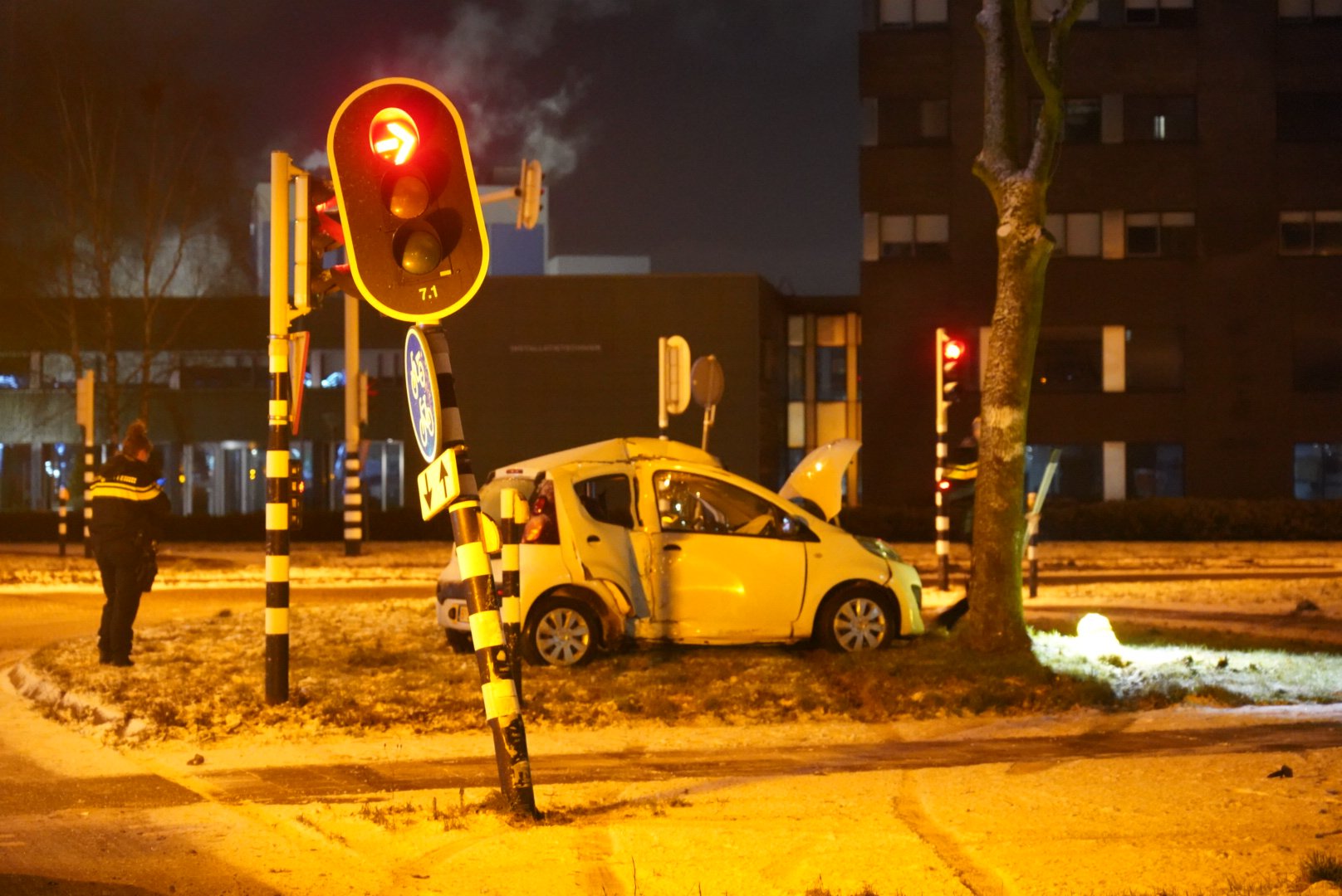 Auto botst tegen stoplicht en boom, bestuurder gewond