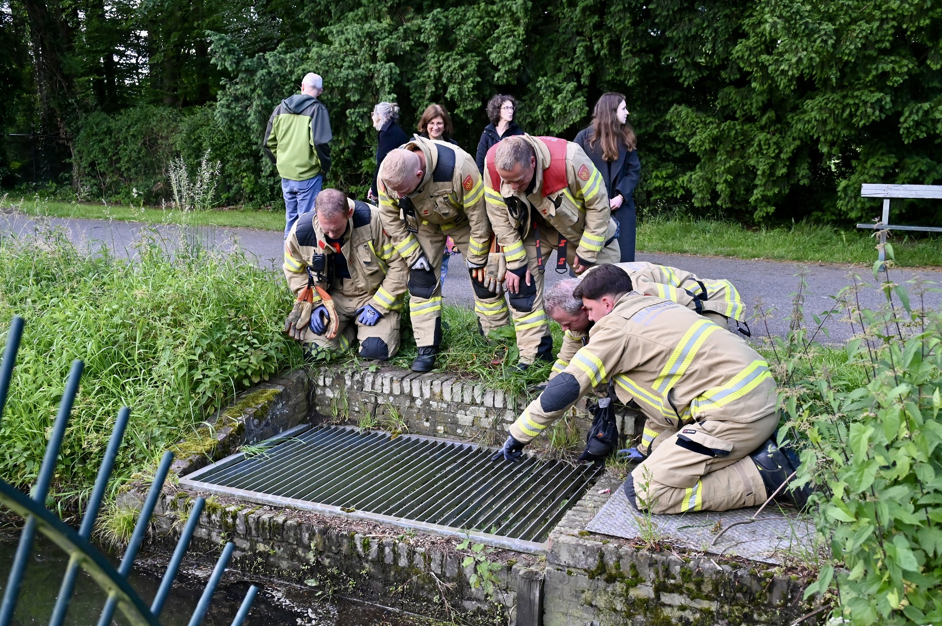 Kat leidt wandelaars naar vastzittende eendenkuikens