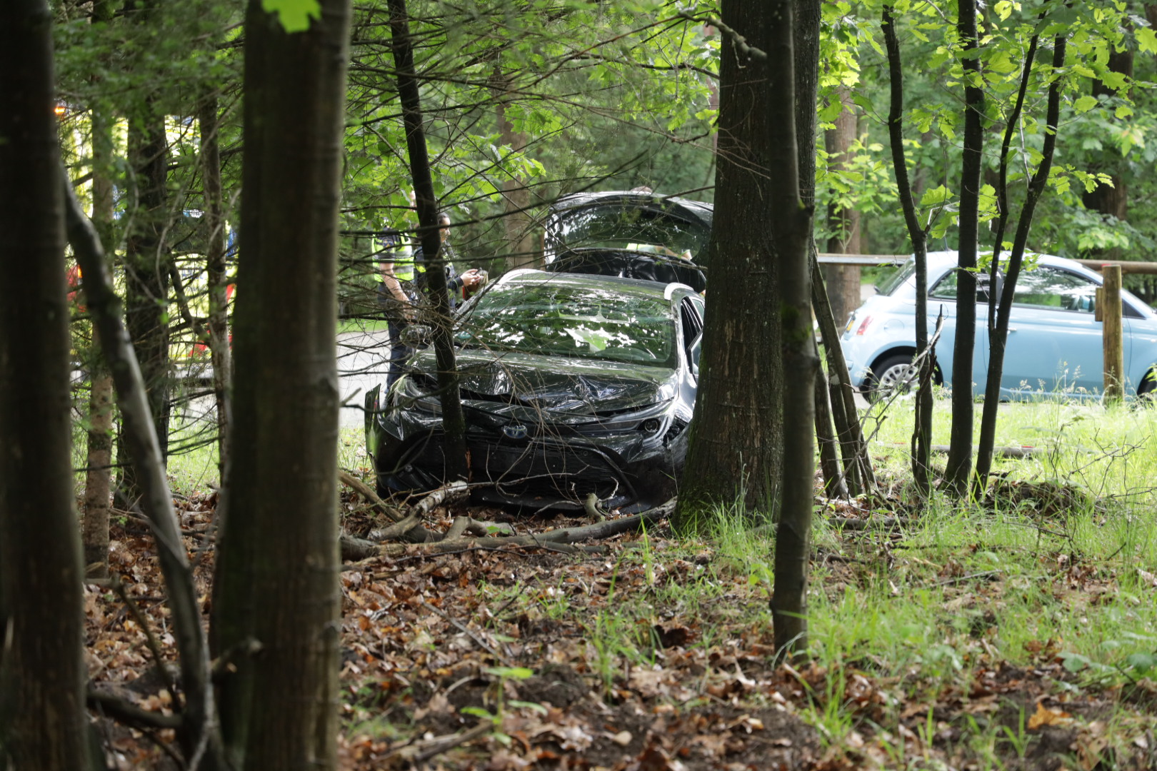 Auto raakt van de weg, ramt paaltjes en komt tot stilstand tegen boom