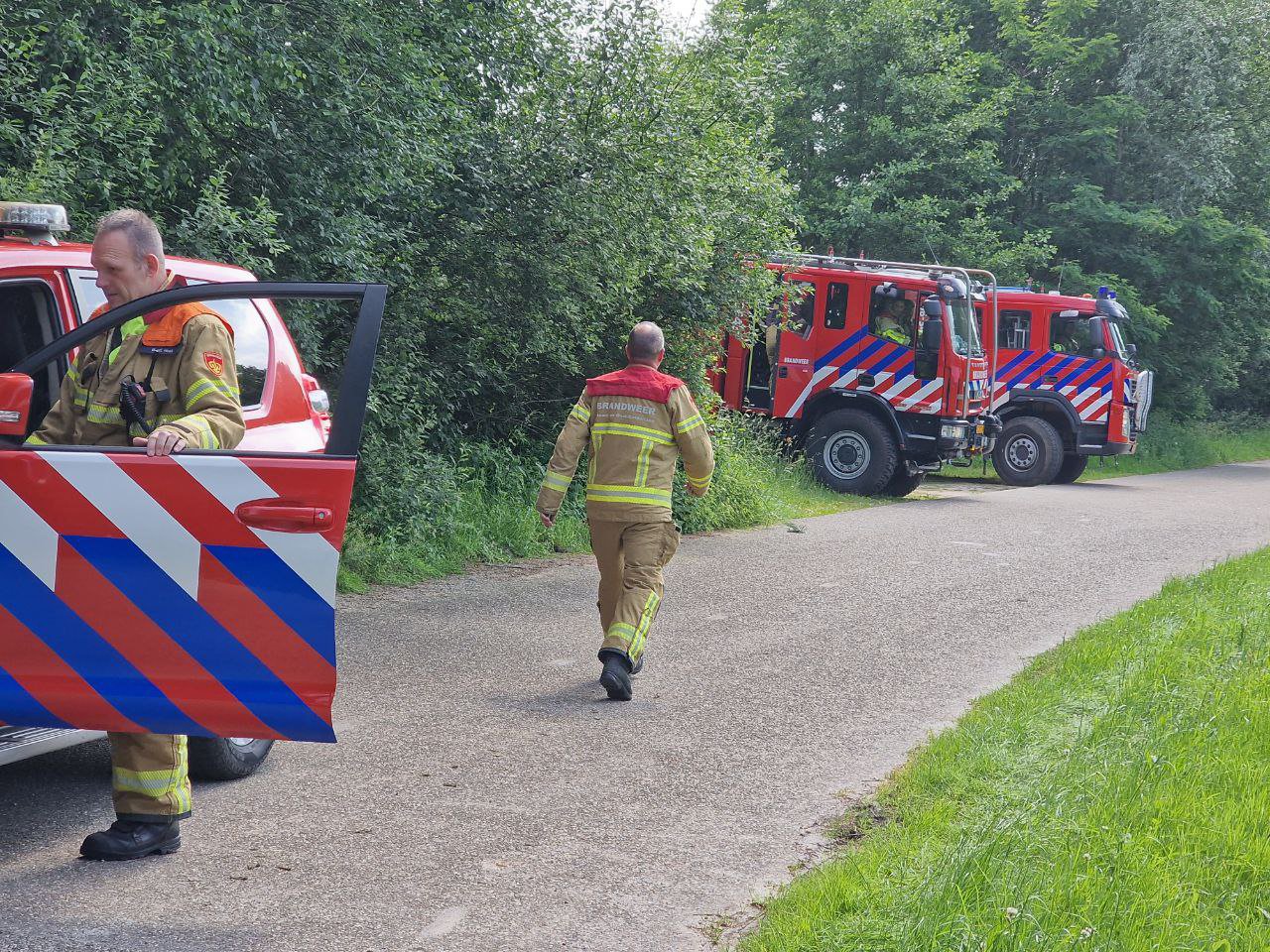 Voorbijgangers weten bosbrand snel te doven