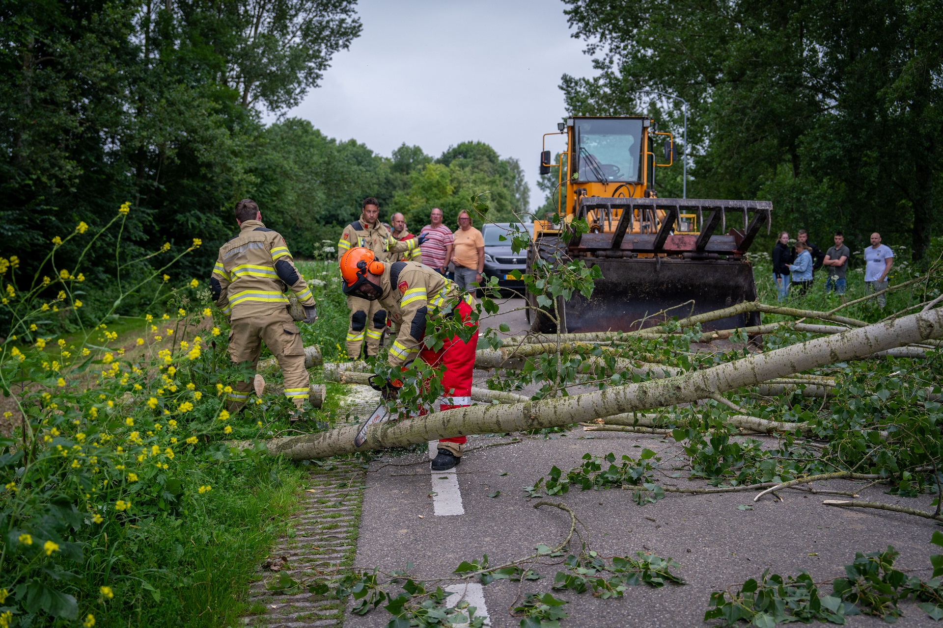 Grote tak breekt af en valt op drukke weg, verkeer heeft half uur vertraging