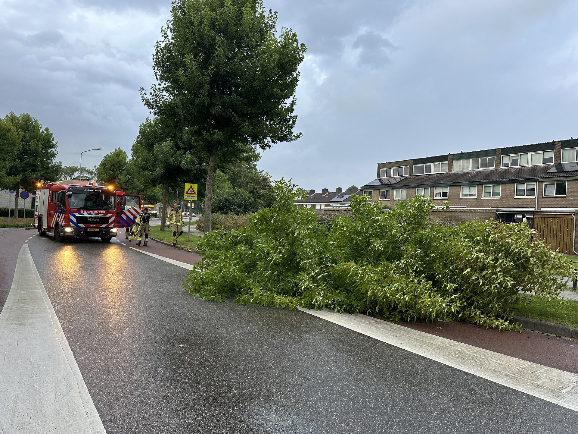 Grote tak breekt af tijdens harde wind en valt op straat