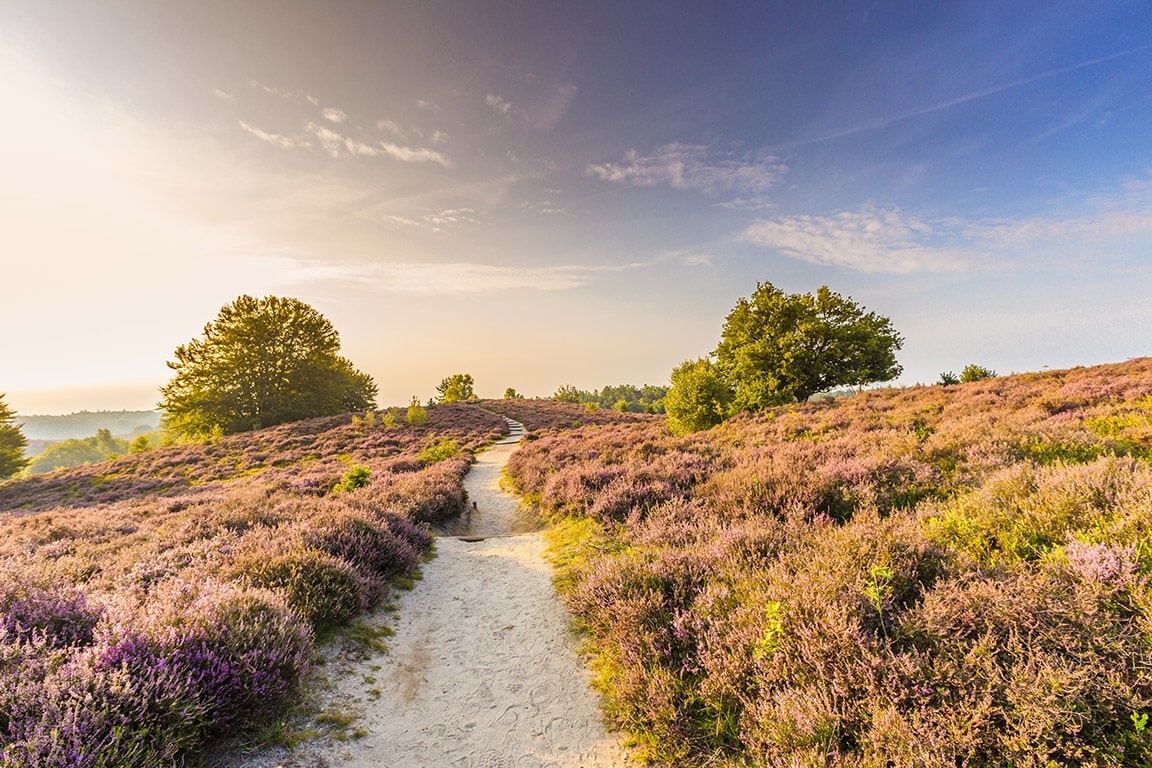 Eropuit in eigen land? Ontdek de 6 leukste en mooiste plekken op de Veluwe!