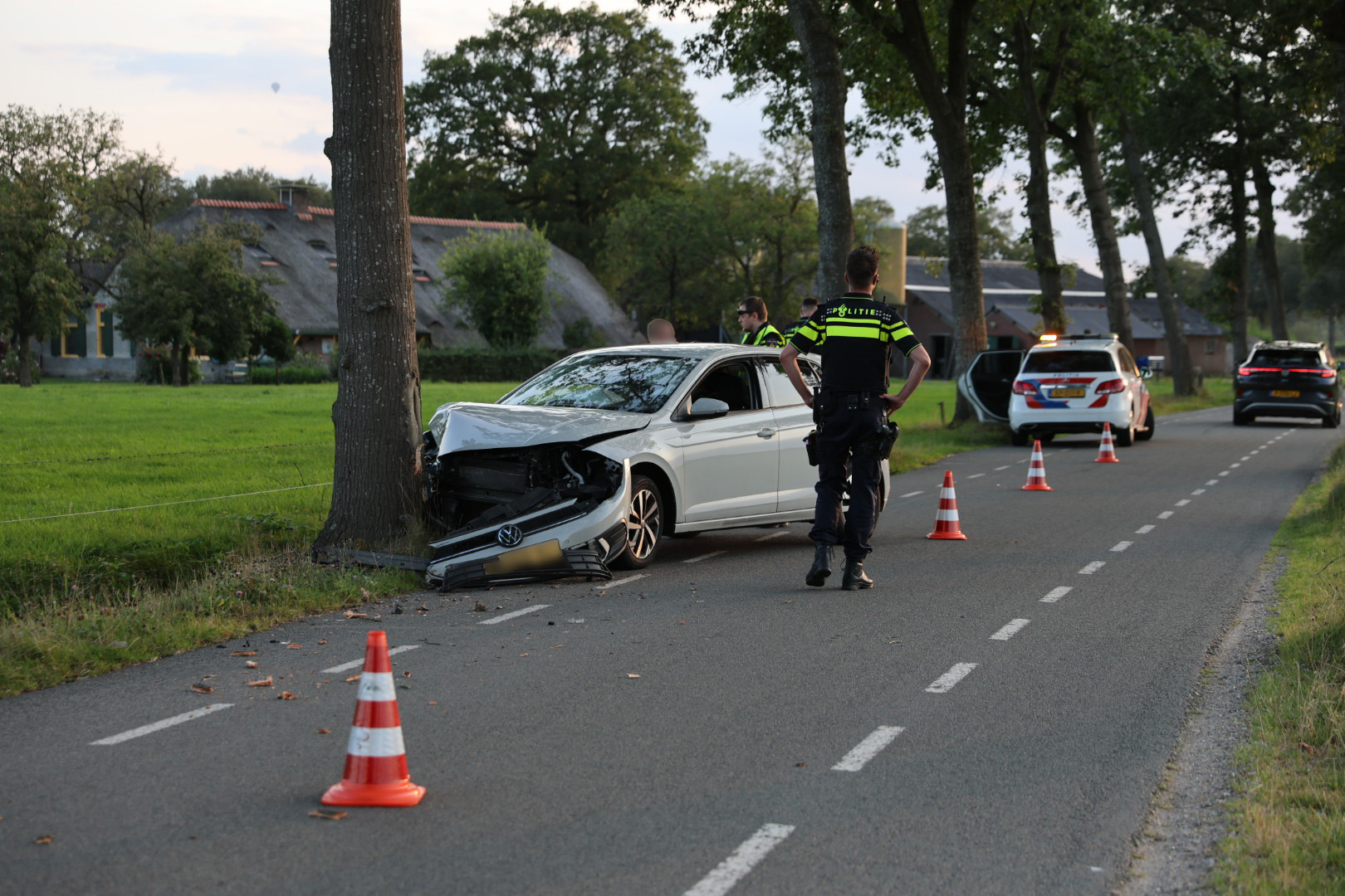 Automobilist botst tegen boom: aangehouden voor rijden onder invloed