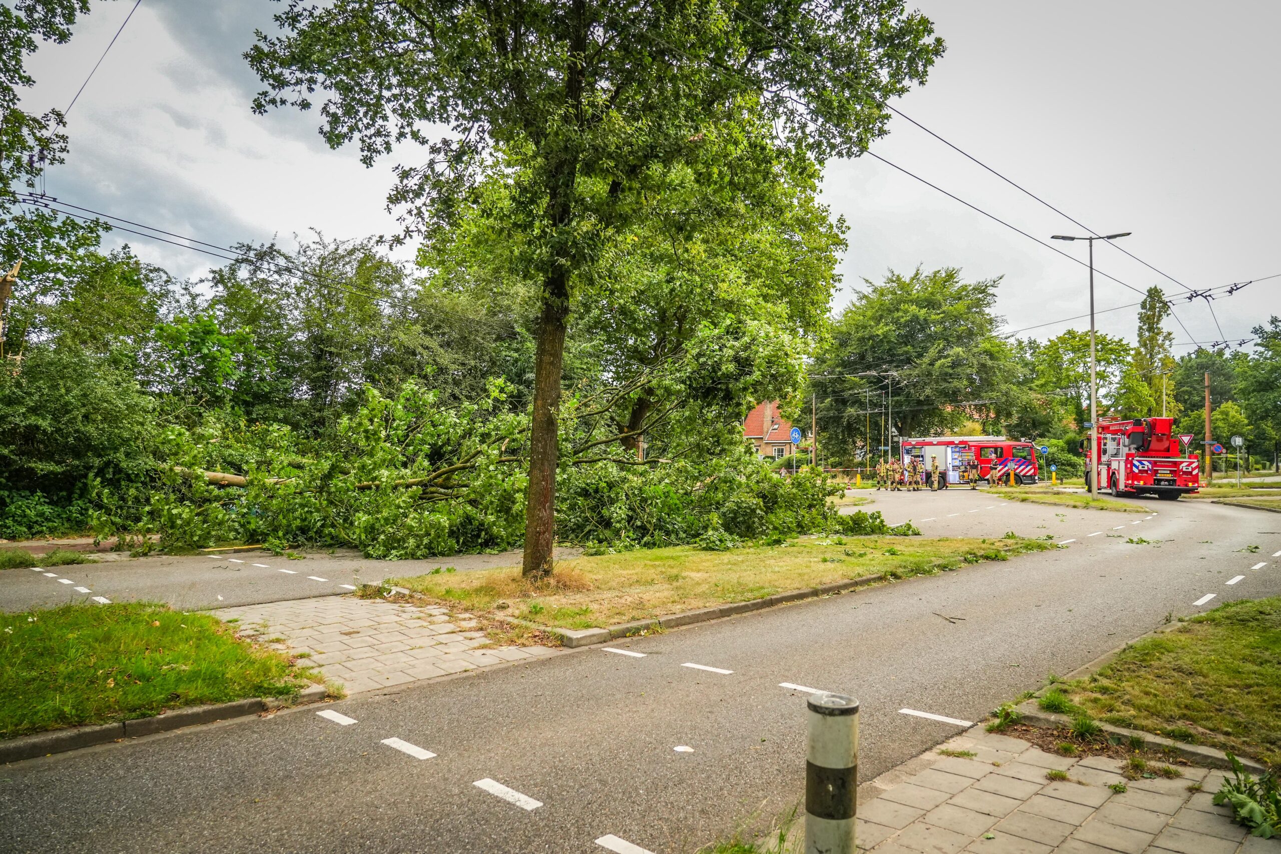 Boom valt op trolleyleidingen door harde windstoten