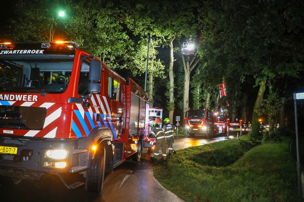 Afgebroken tak zorgt voor schade aan auto’s