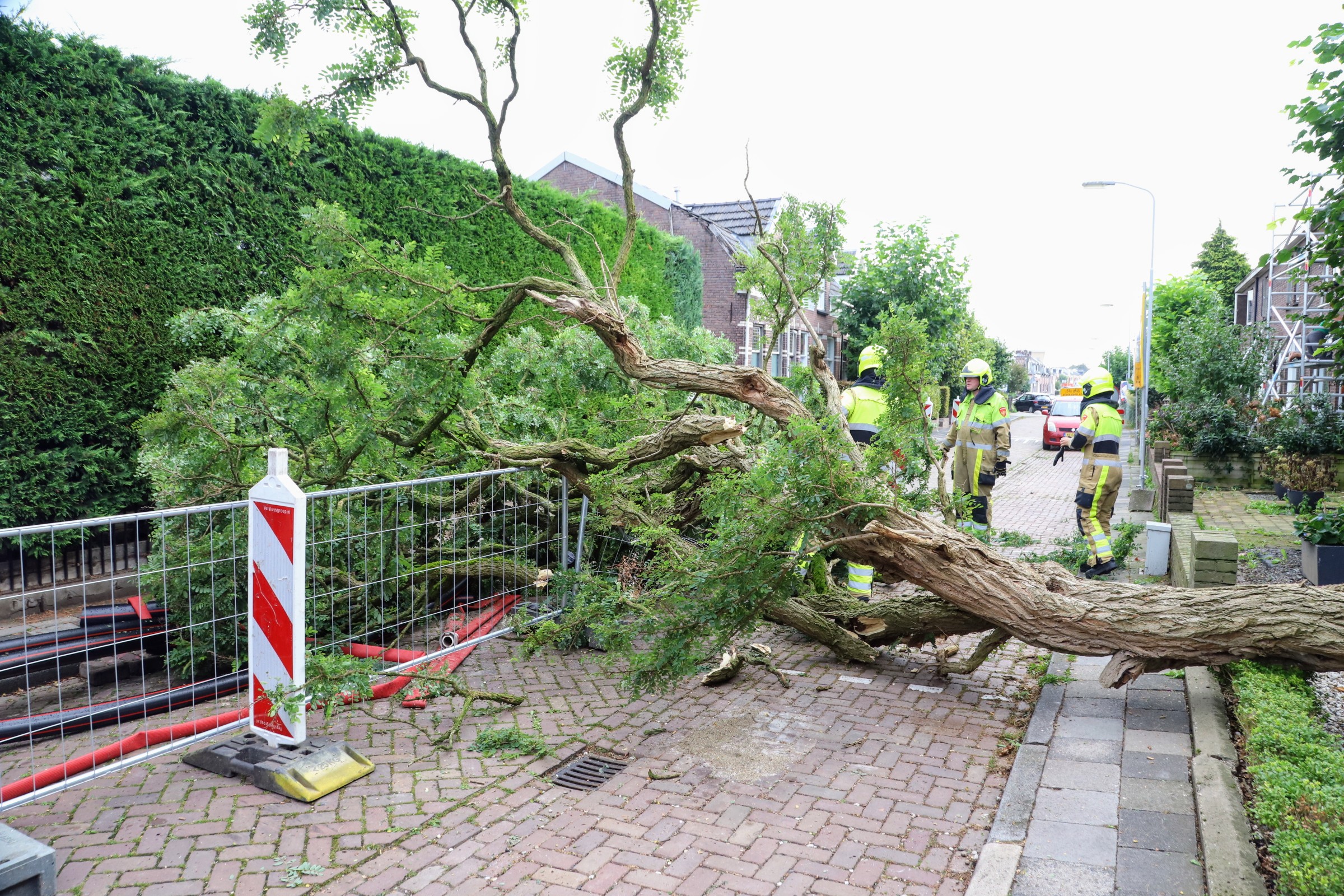 Verrotte boom valt om en belandt op hekwerk