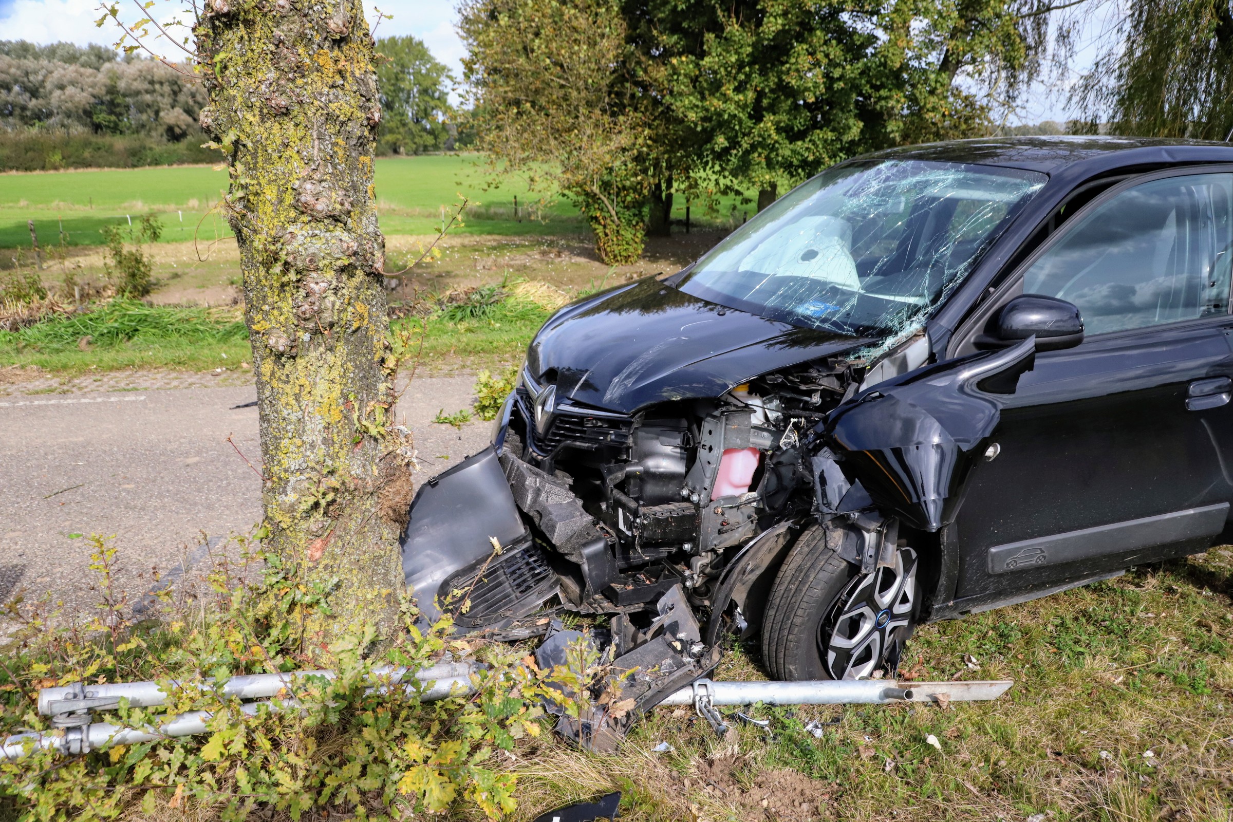 Veel schade na botsing tegen boom