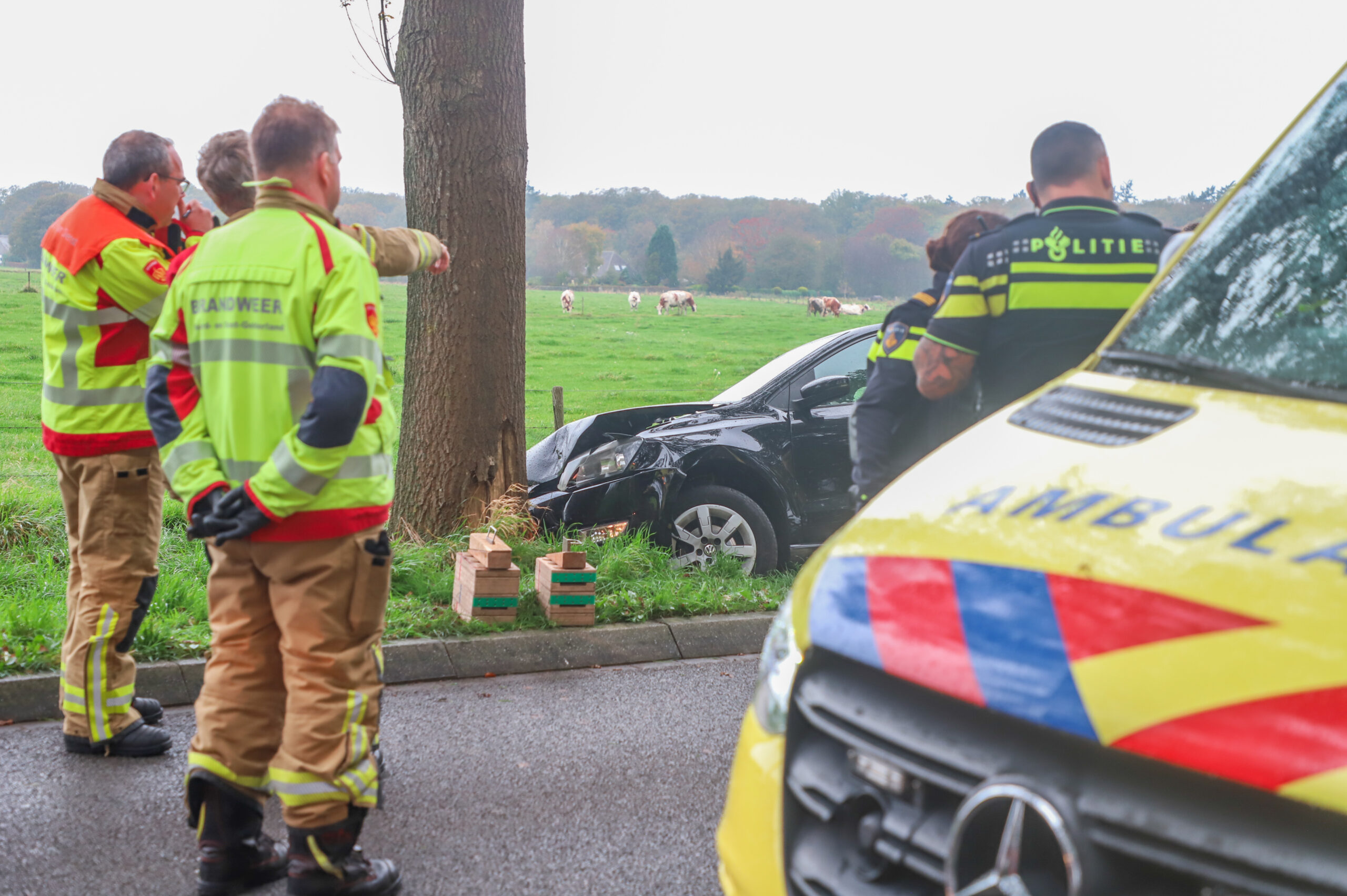 Meerdere gewonden bij frontale botsing tegen boom