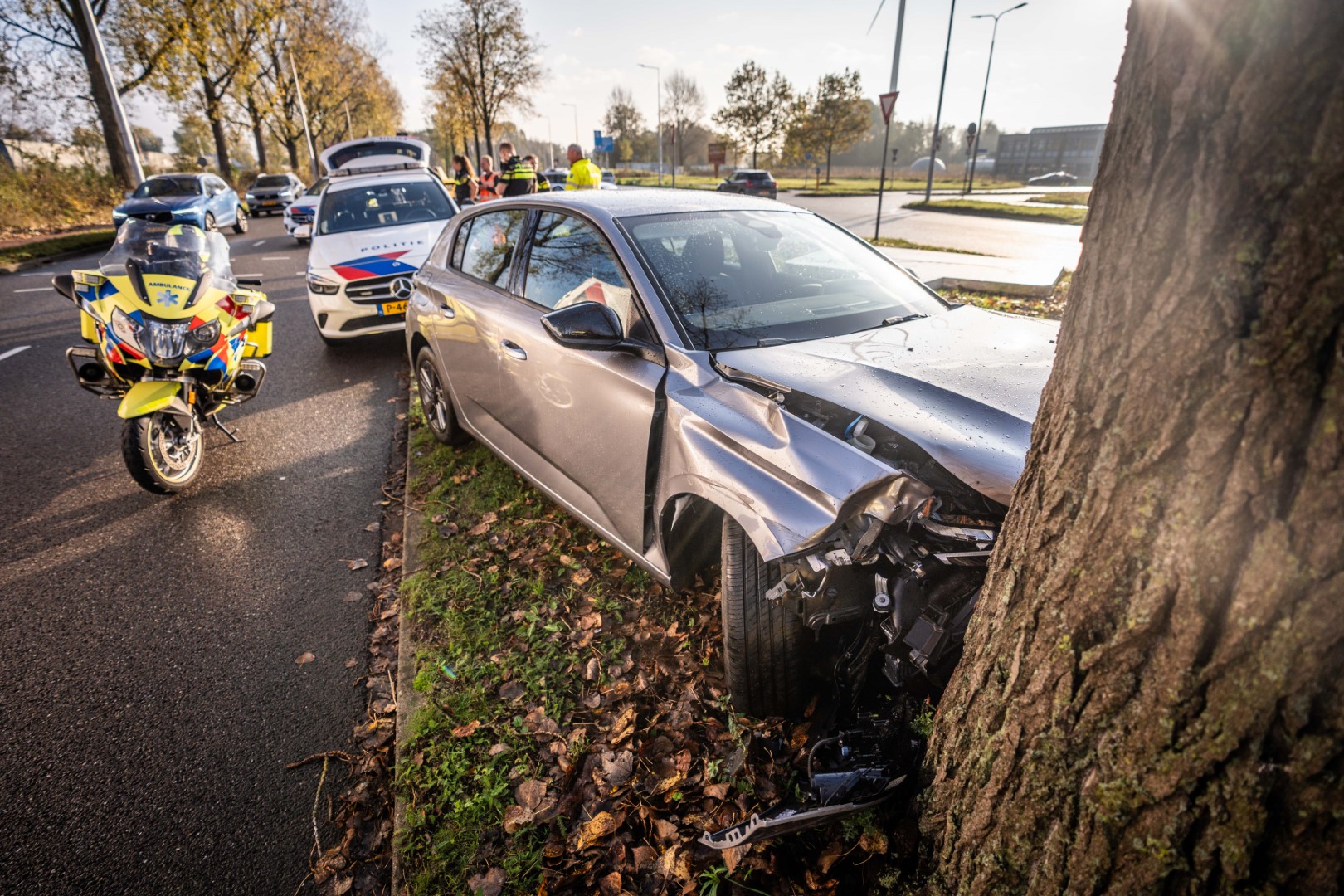 Automobilist gewond na botsing met bestelbus en boom