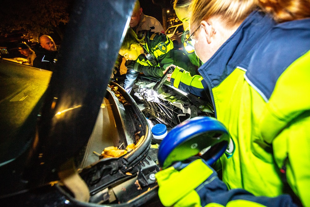 Hulpdiensten rukken massaal uit voor kitten onder bestelbus